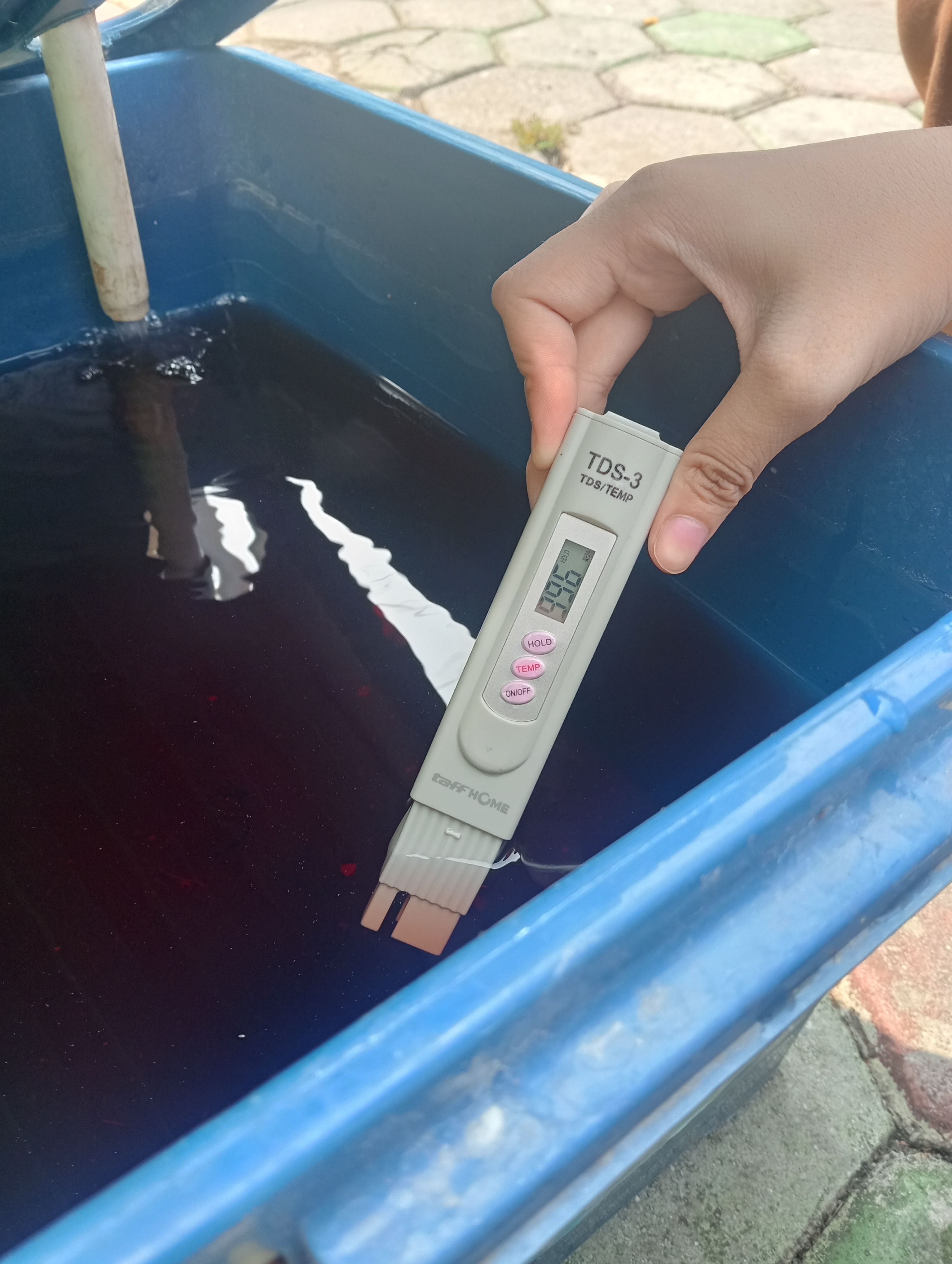 Lahan Urban Farming SMKN 20 Jakarta - Gambar 26