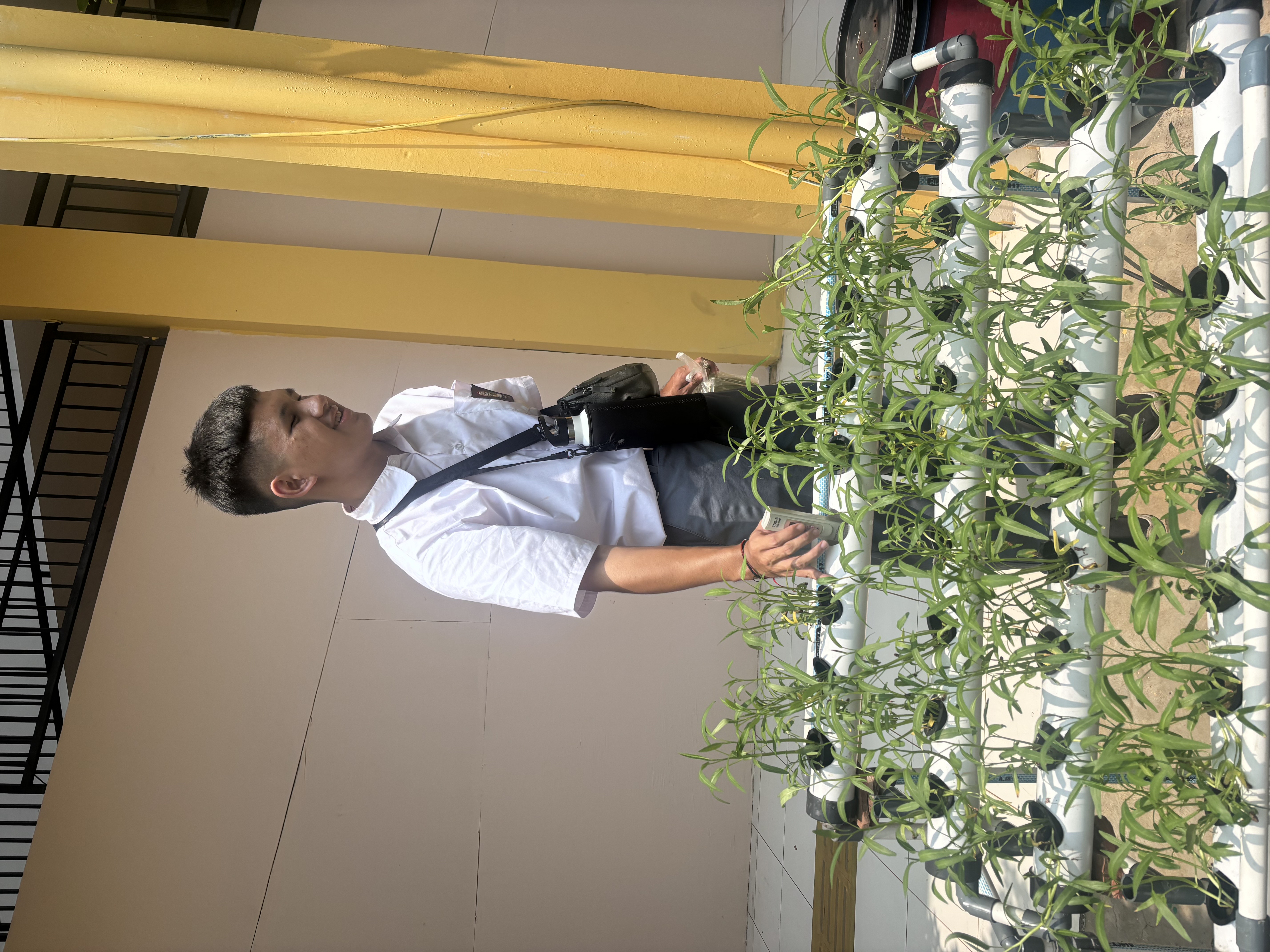 Lahan Urban Farming SLB A Pembina Tingkat Nasional - Gambar 30