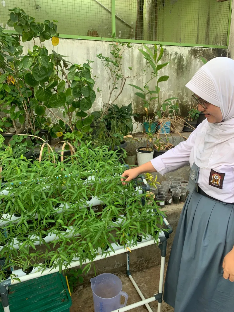 Lahan Urban Farming SMAN 63 Jakarta - Gambar 13