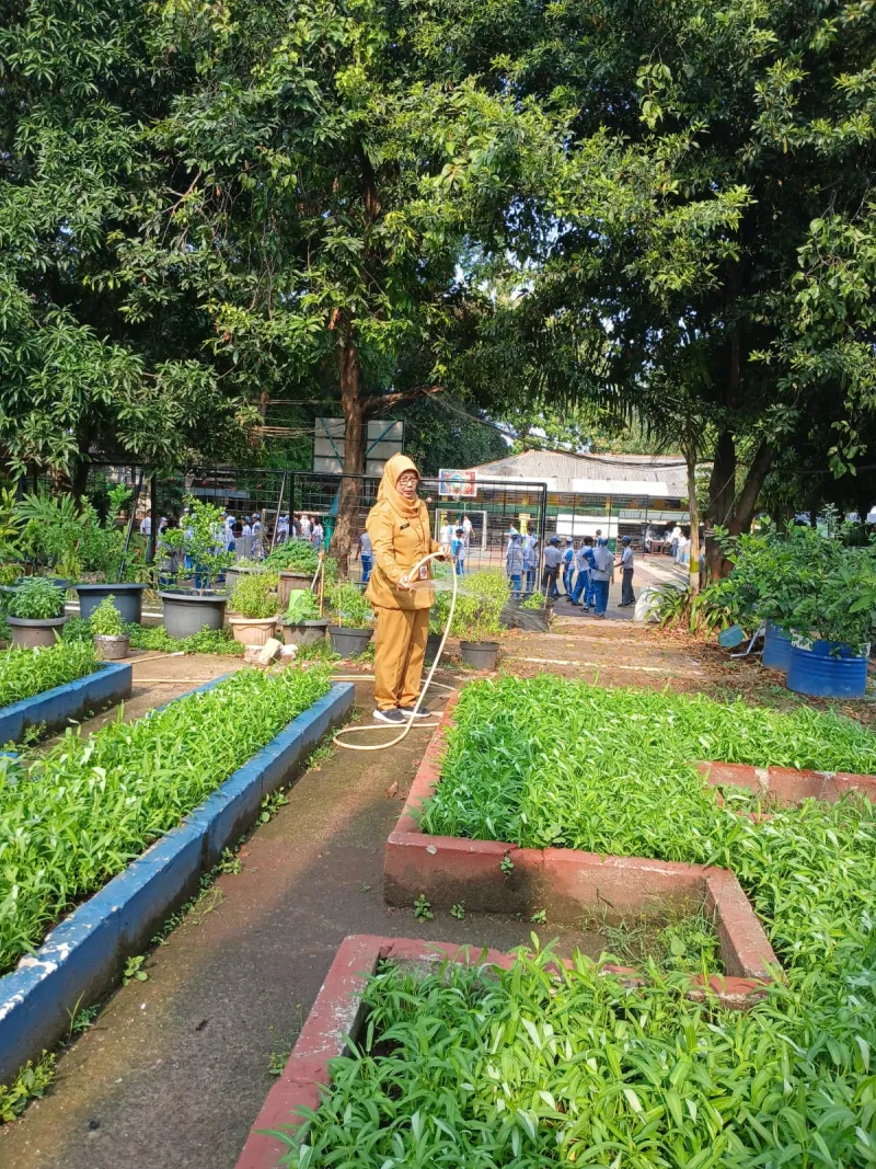 Lahan Urban Farming SMAN 109 Jakarta - Gambar 47