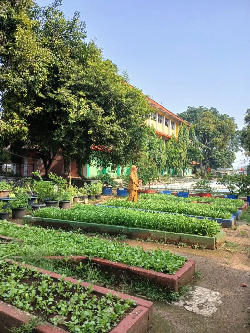Lahan Urban Farming SMAN 109 Jakarta - Gambar 48