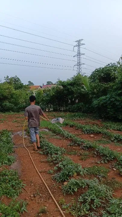 KEBUN SMKN 74 JAGAKARSA JAKARTA SELATAN - Gambar 77
