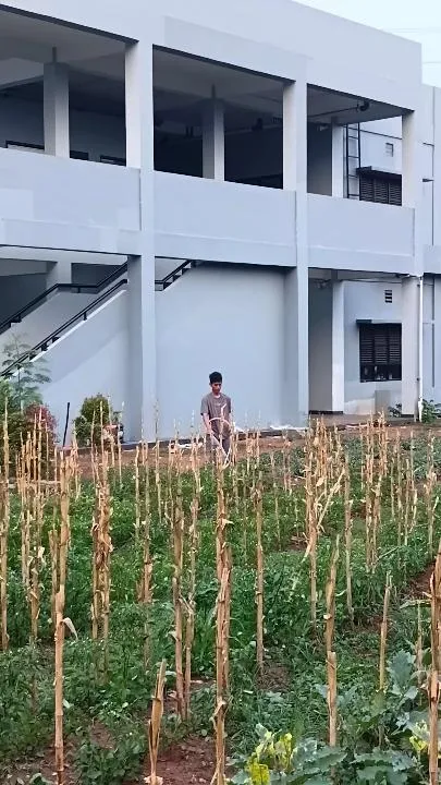 KEBUN SMKN 74 JAGAKARSA JAKARTA SELATAN - Gambar 76