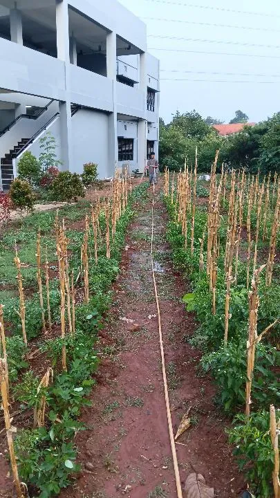 KEBUN SMKN 74 JAGAKARSA JAKARTA SELATAN - Gambar 75
