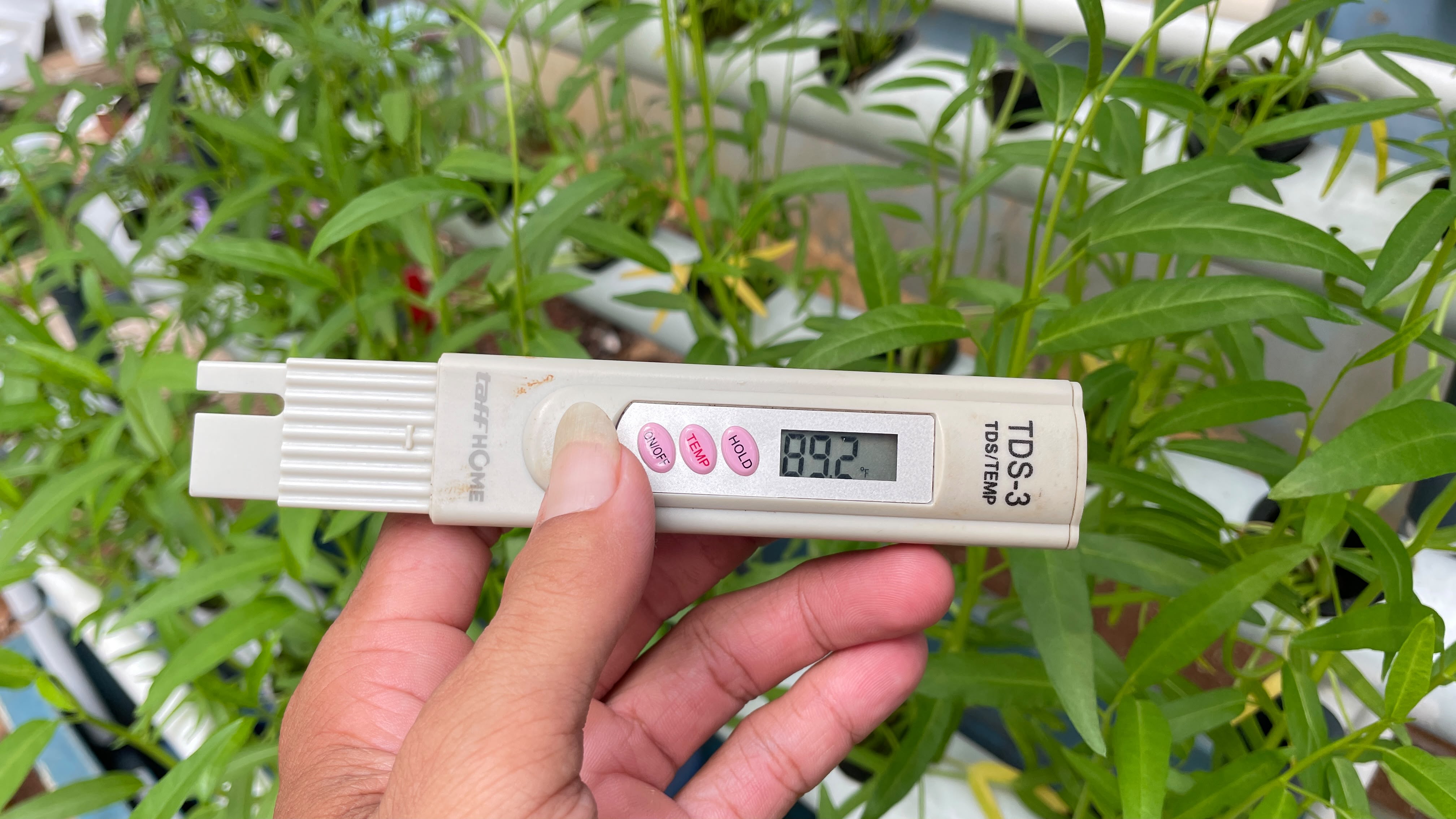 Lahan Urban Farming SLBN 01 Lebak Bulus - Gambar 17