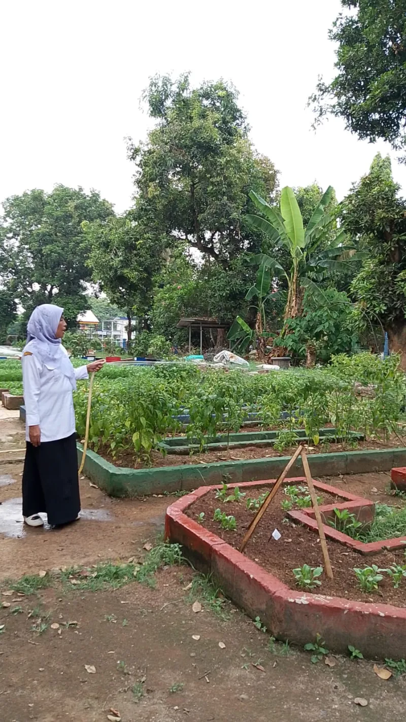 Lahan Urban Farming SMAN 109 Jakarta - Gambar 45