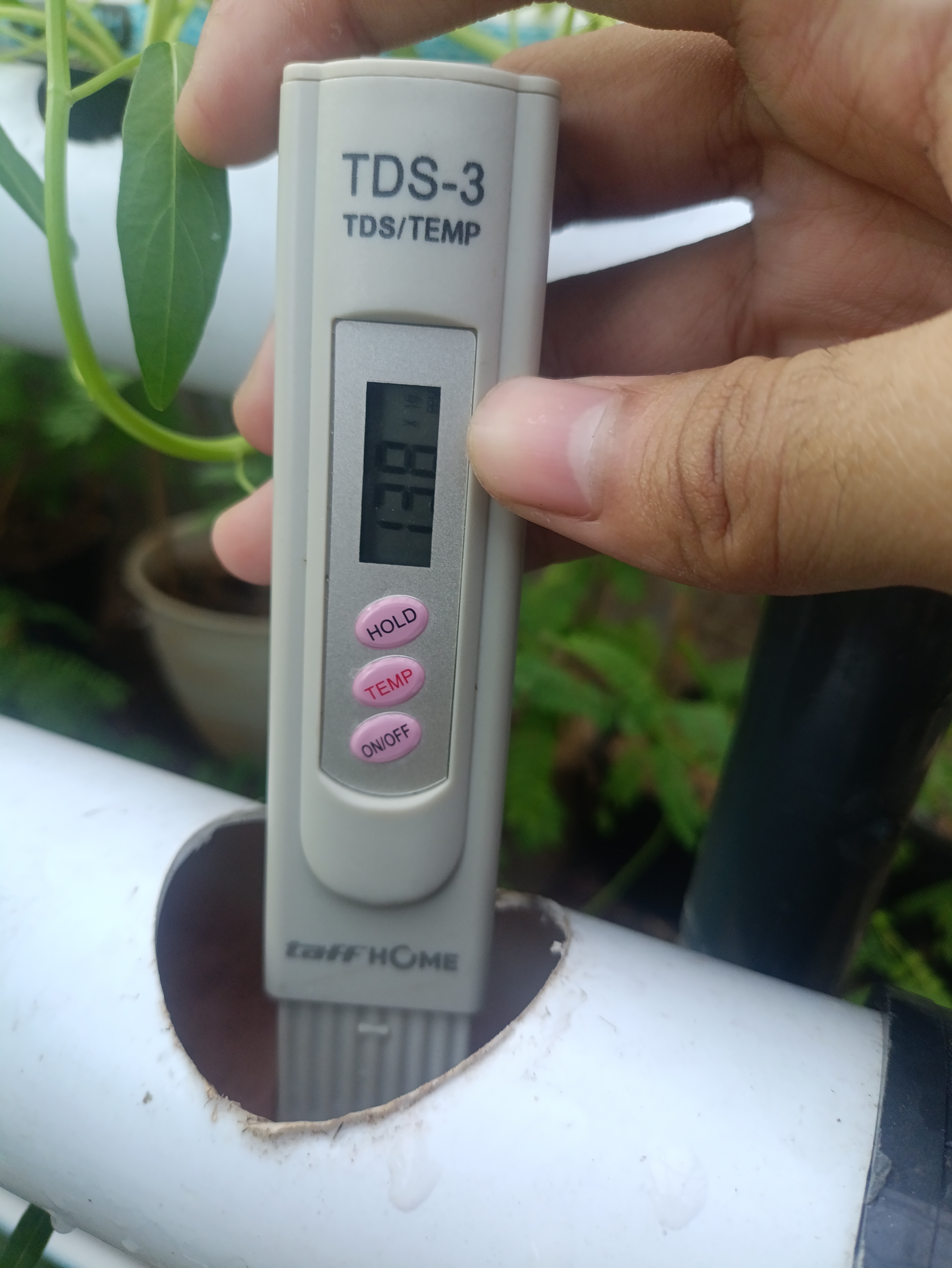 Lahan Urban Farming SMAN 63 Jakarta - Gambar 12