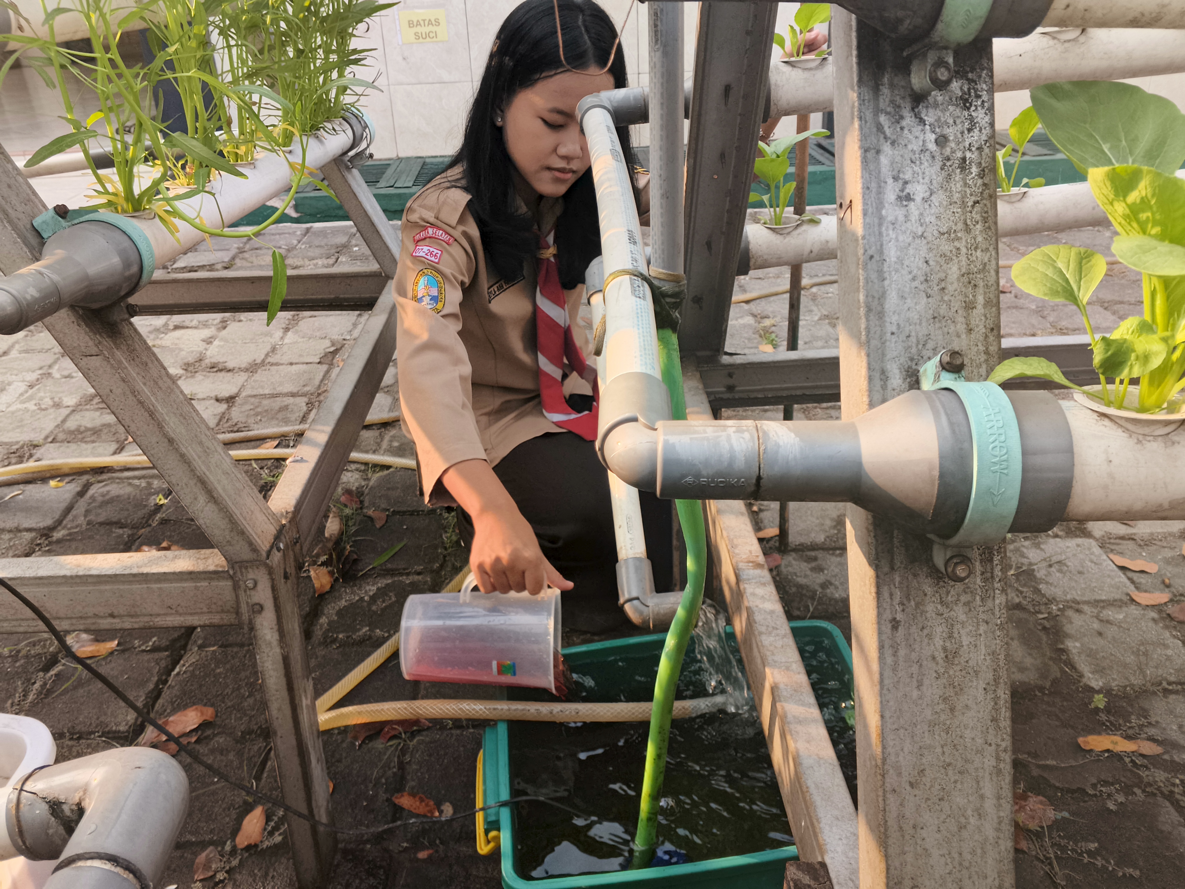 Lahan Urban Farming SMKN 59 Jakarta - Gambar 42