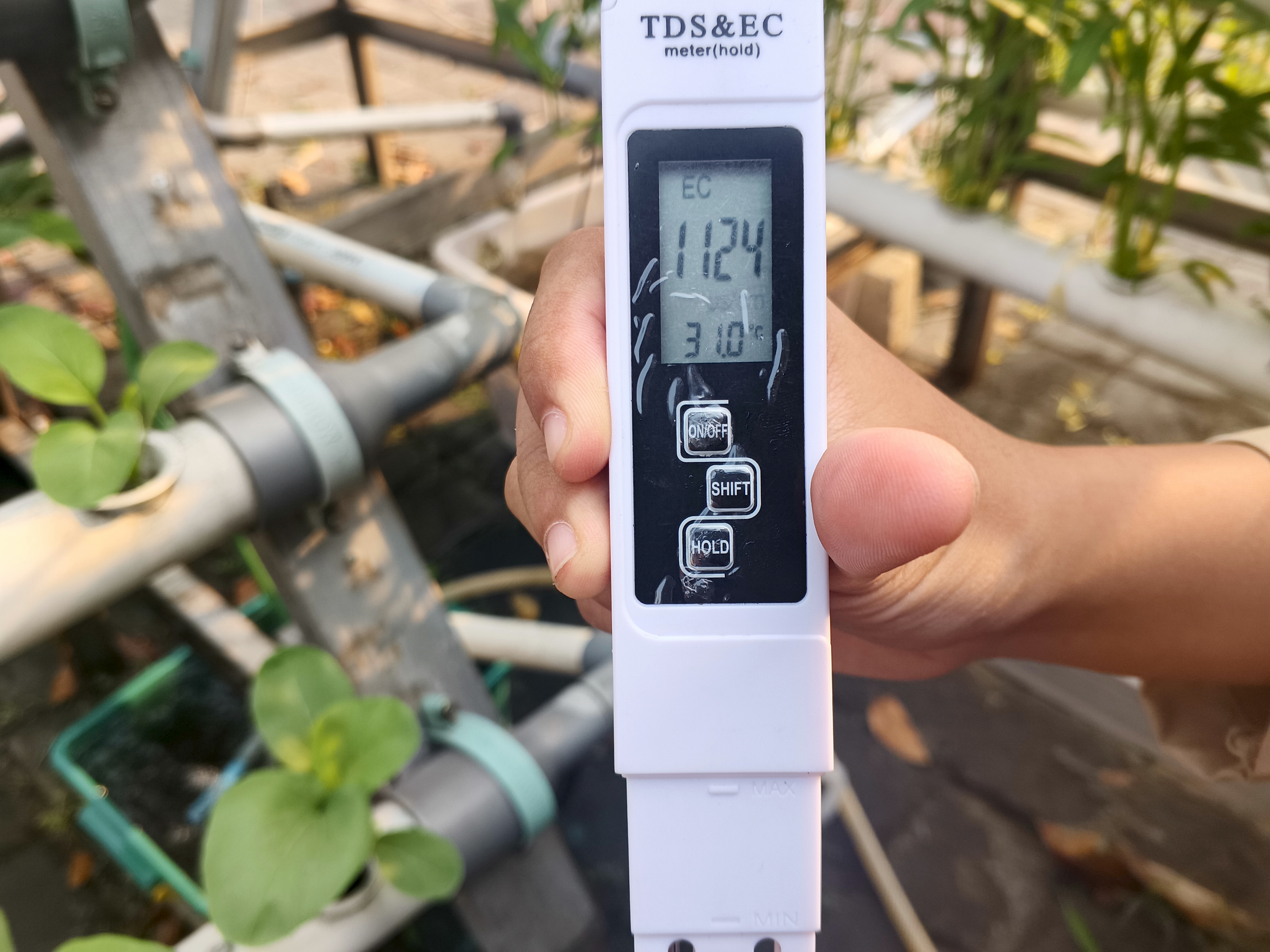 Lahan Urban Farming SMKN 59 Jakarta - Gambar 40