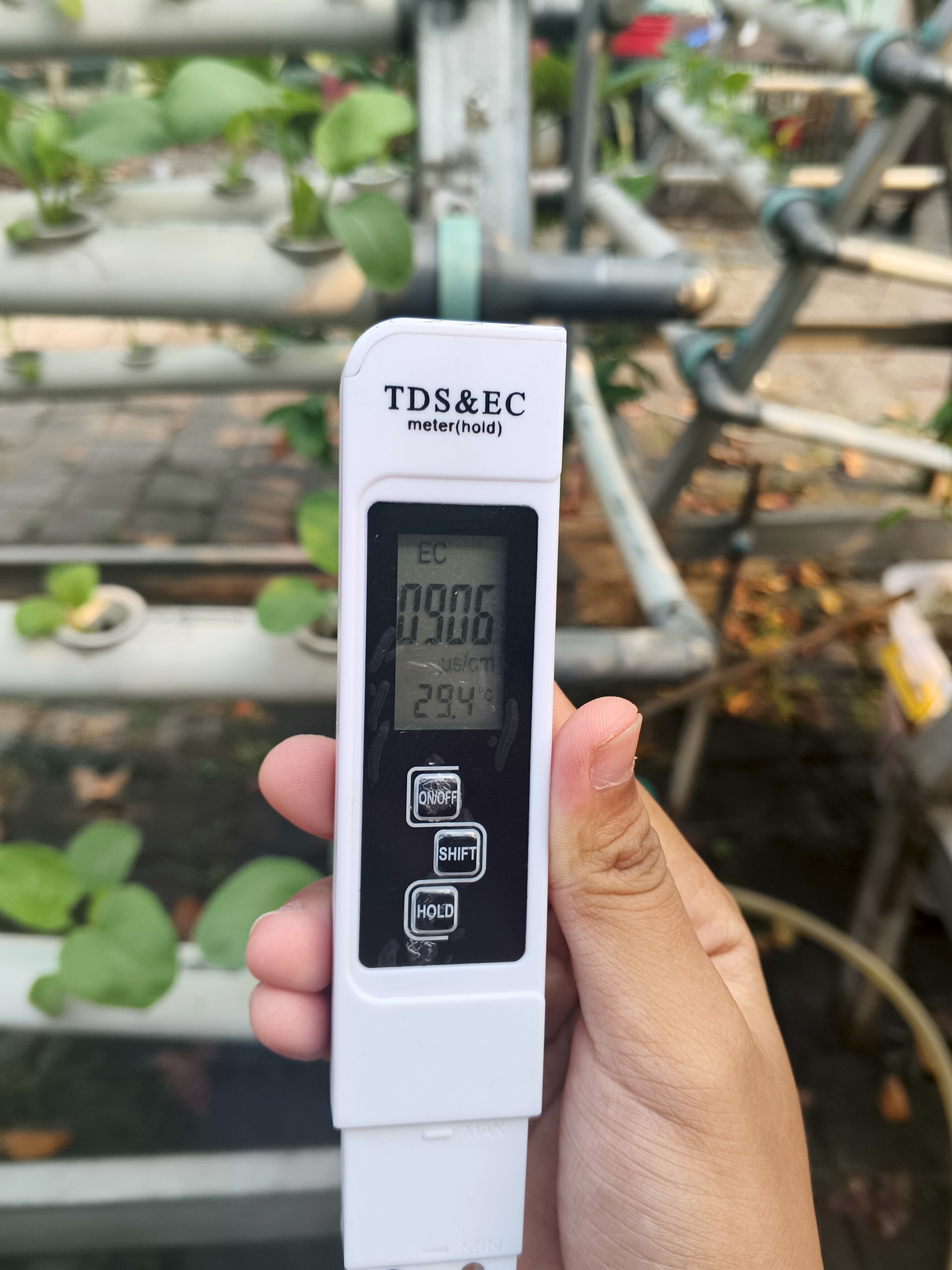Lahan Urban Farming SMKN 59 Jakarta - Gambar 41
