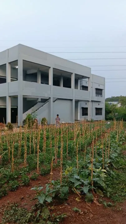 KEBUN SMKN 74 JAGAKARSA JAKARTA SELATAN - Gambar 74