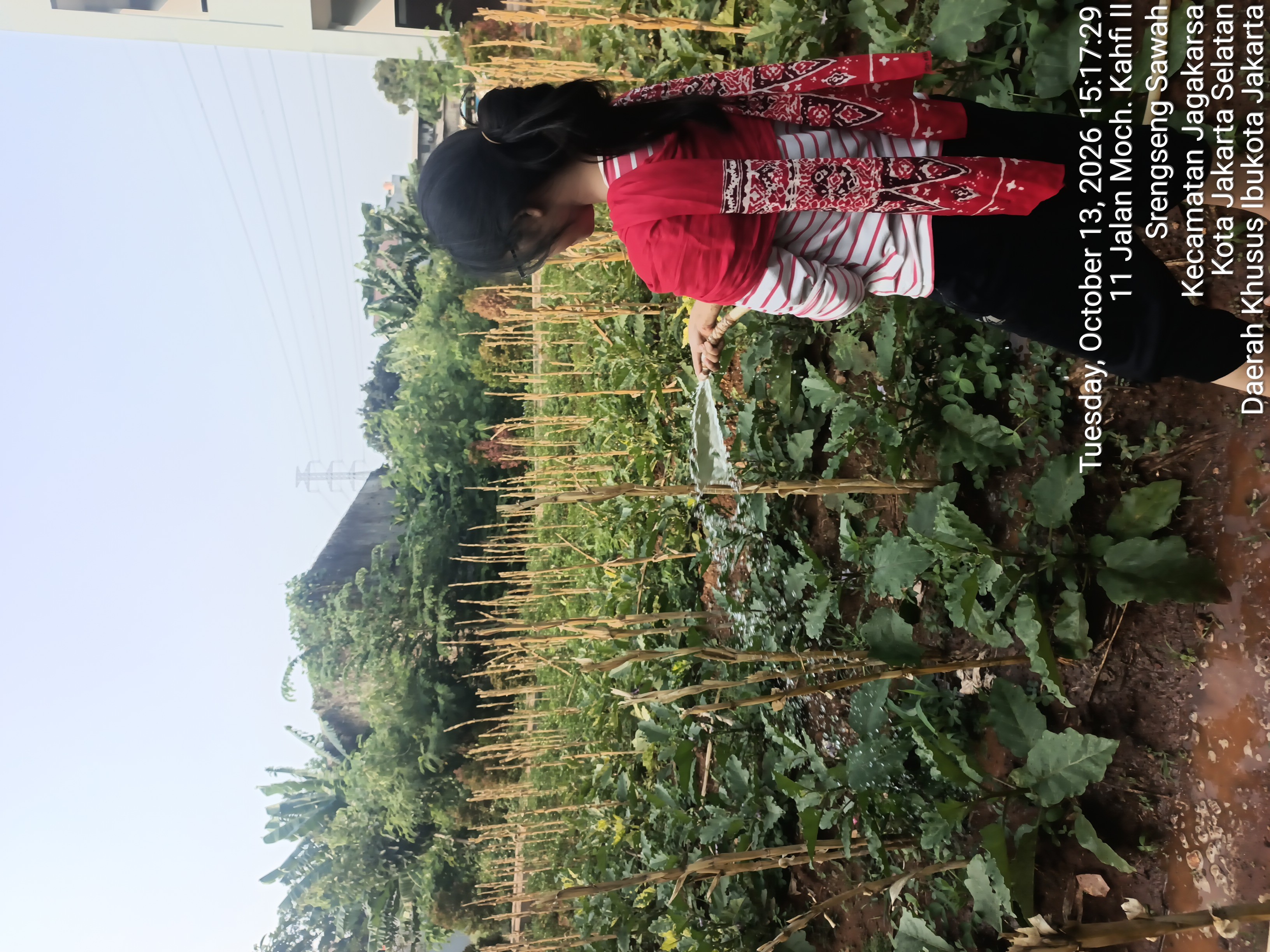 KEBUN SMKN 74 JAGAKARSA JAKARTA SELATAN - Gambar 73