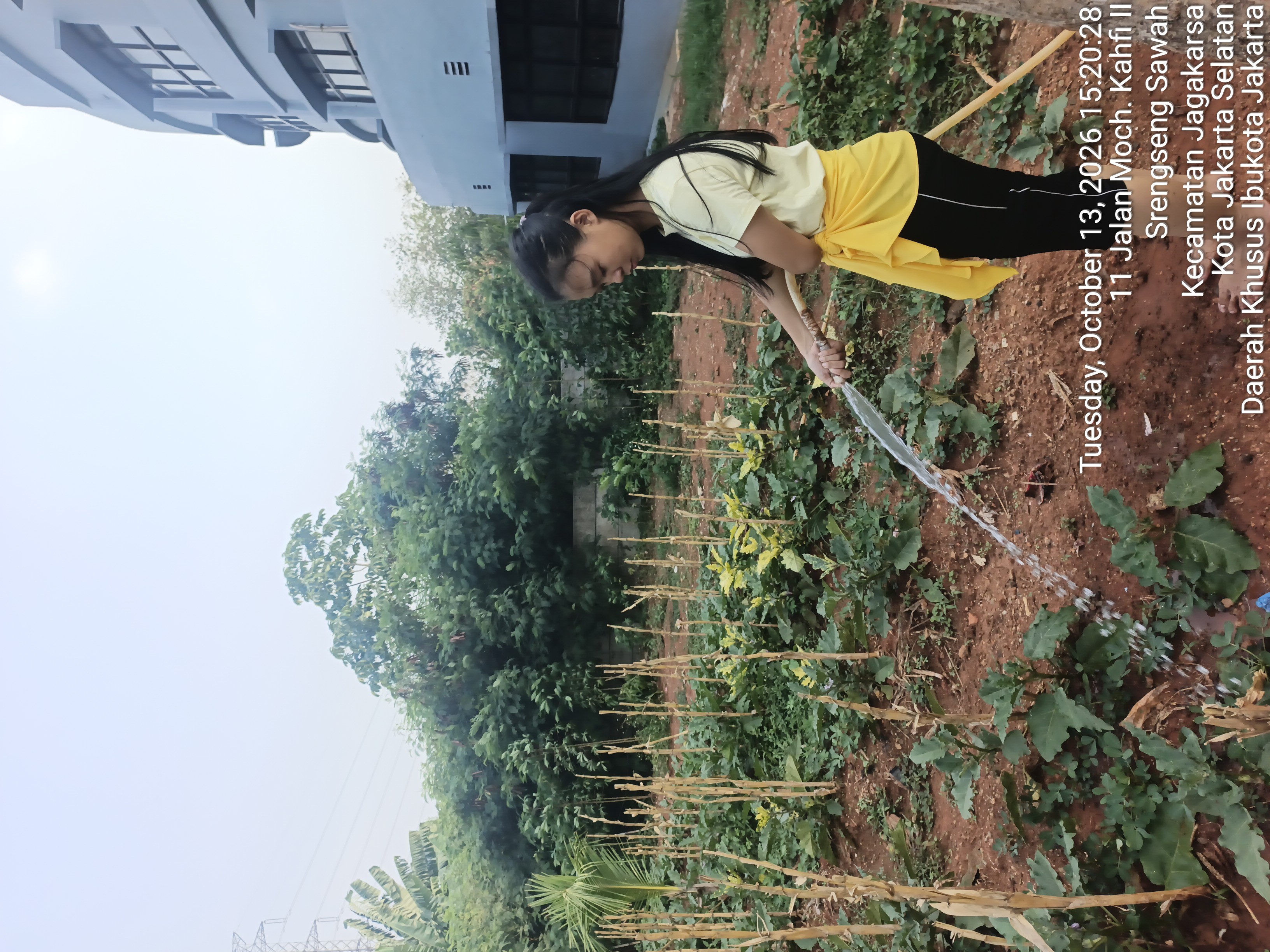 KEBUN SMKN 74 JAGAKARSA JAKARTA SELATAN - Gambar 70