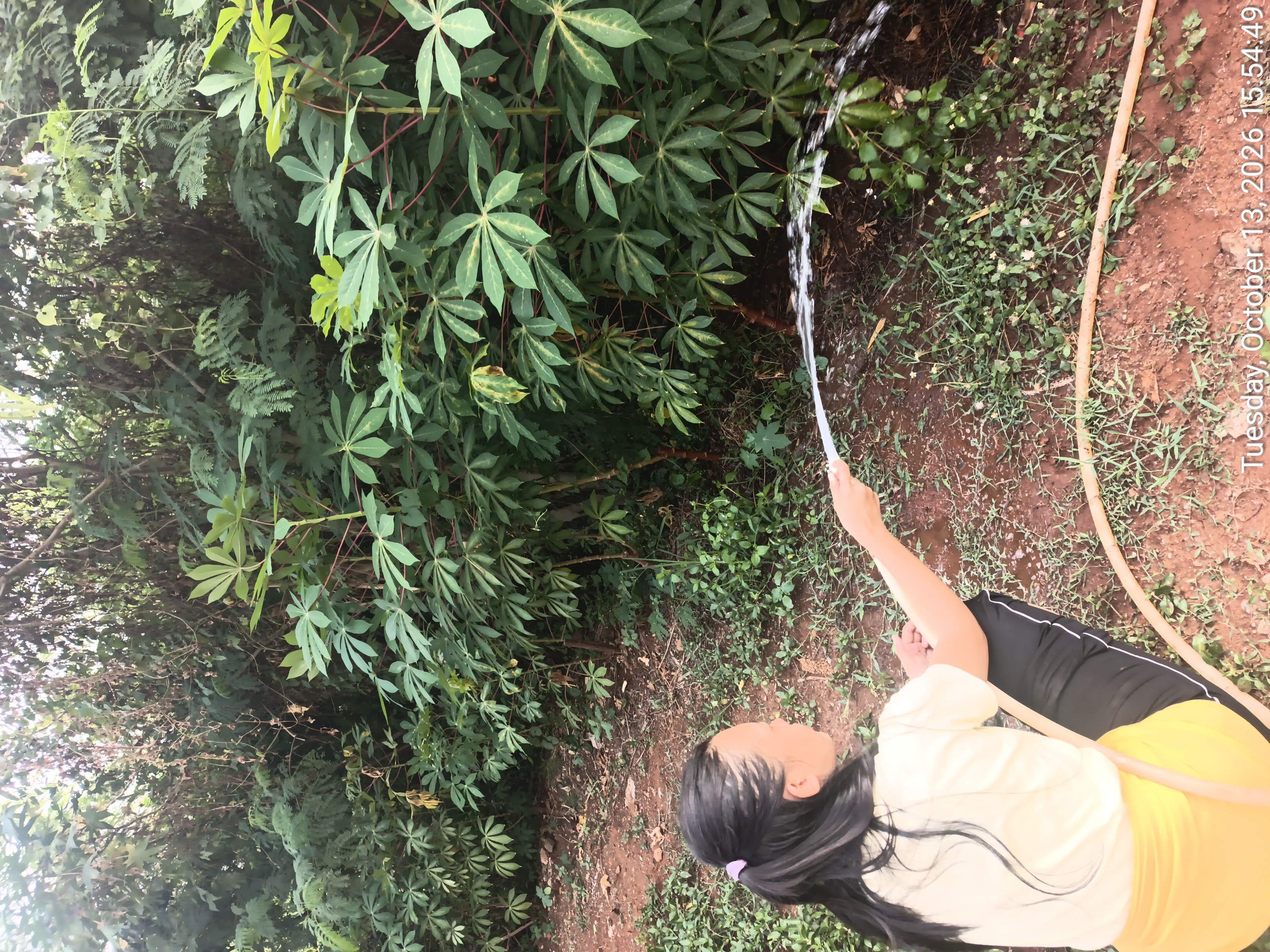 KEBUN SMKN 74 JAGAKARSA JAKARTA SELATAN - Gambar 65