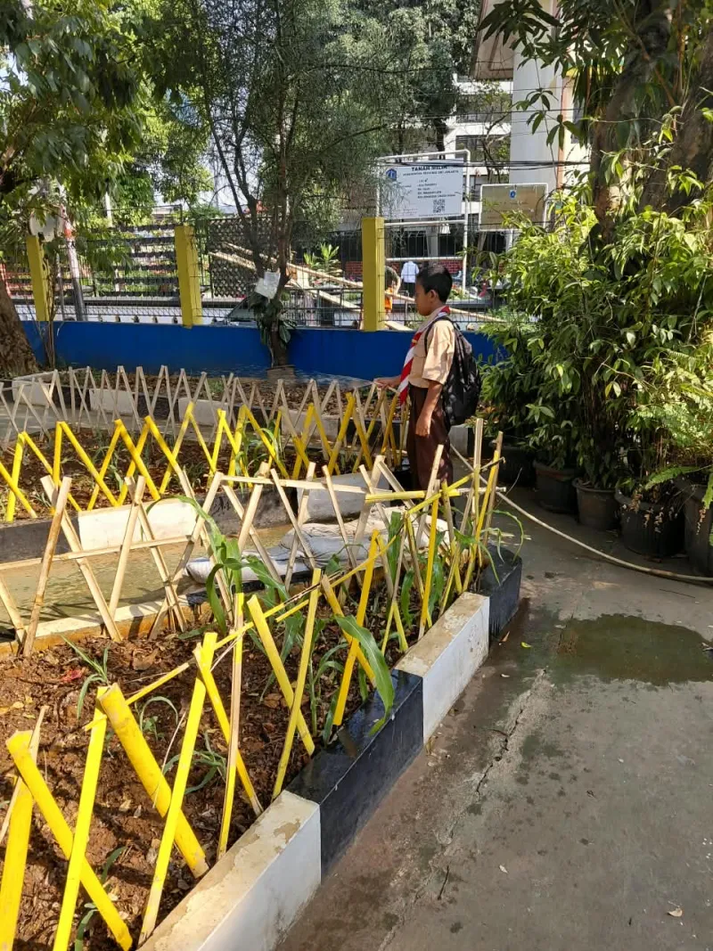 Lahan Urban Farming SDN Cipulir 03 - Gambar 17
