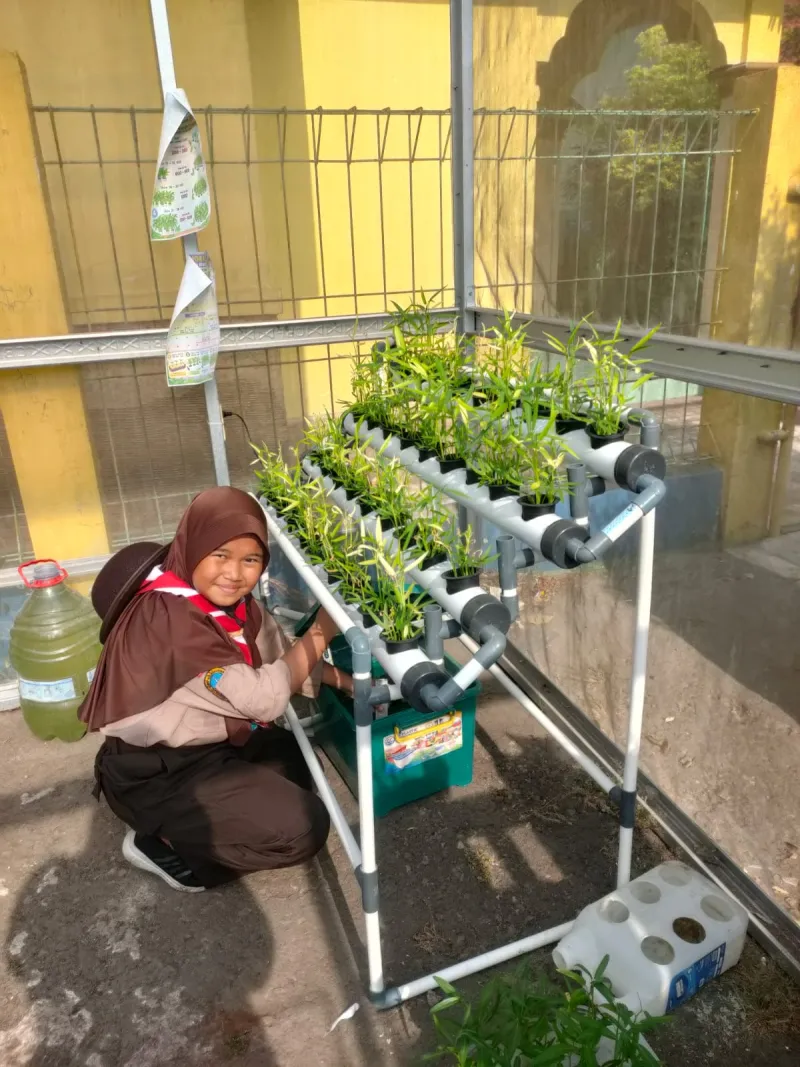 Lahan Urban Farming SDN Cipulir 03 - Gambar 23