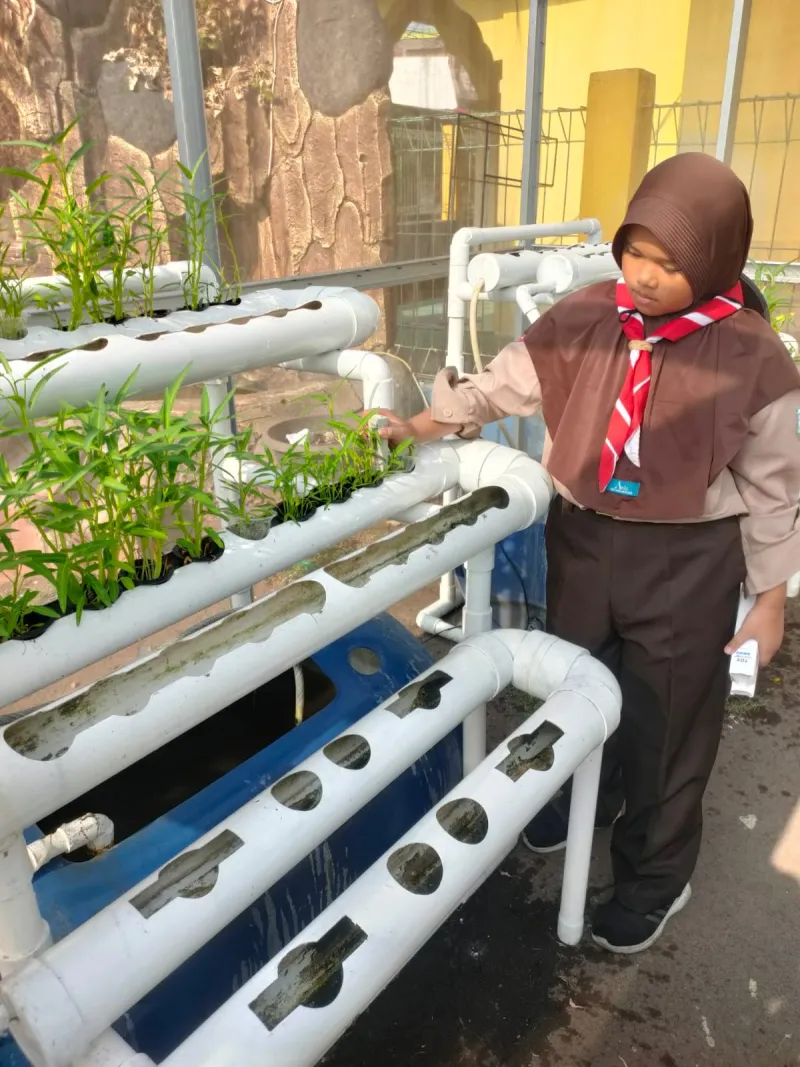 Lahan Urban Farming SDN Cipulir 03 - Gambar 22