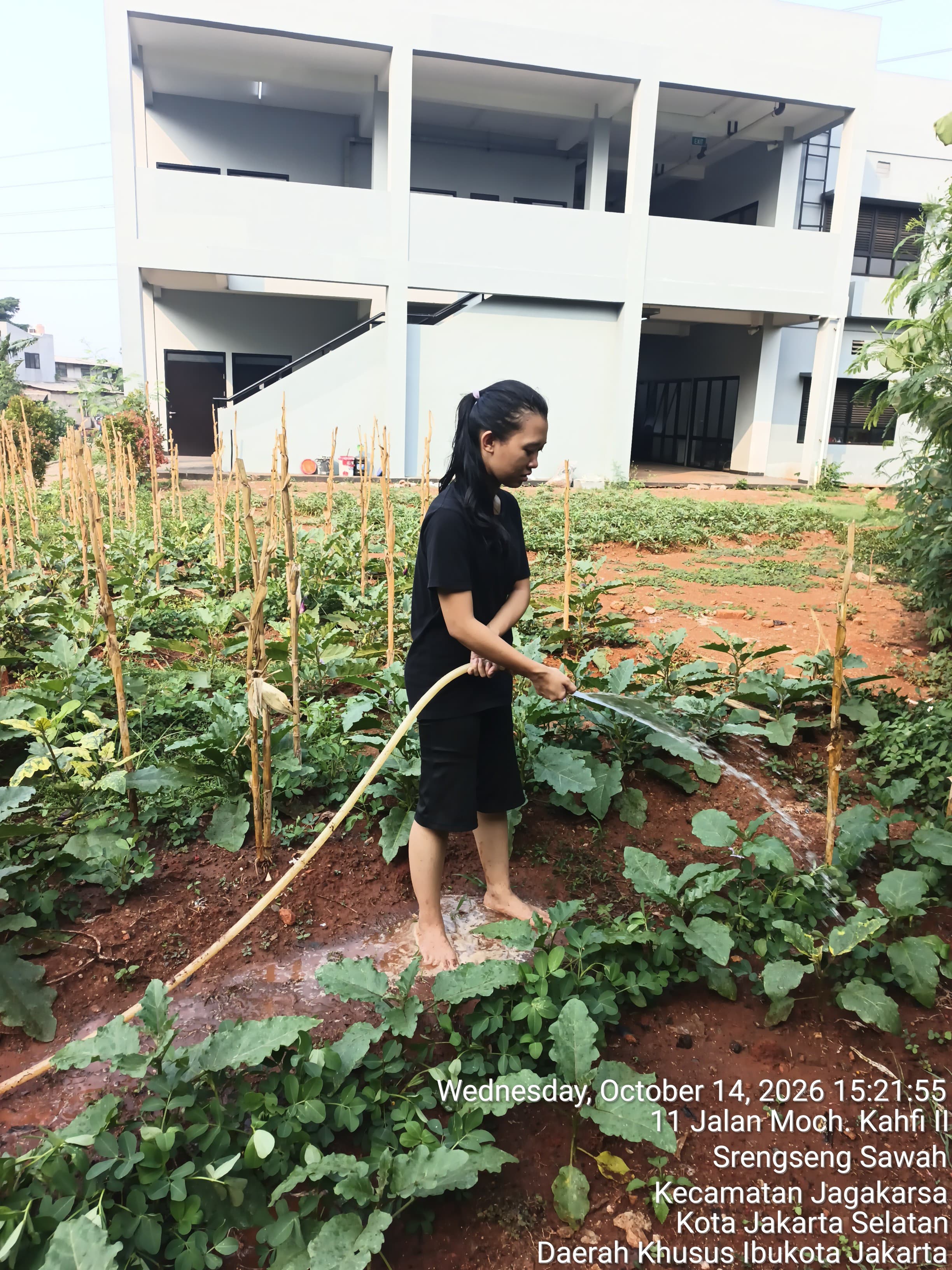 KEBUN SMKN 74 JAGAKARSA JAKARTA SELATAN - Gambar 60