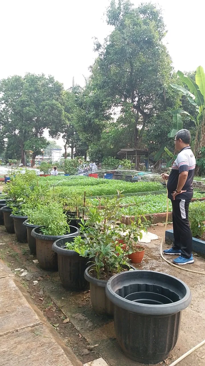 Lahan Urban Farming SMAN 109 Jakarta - Gambar 42