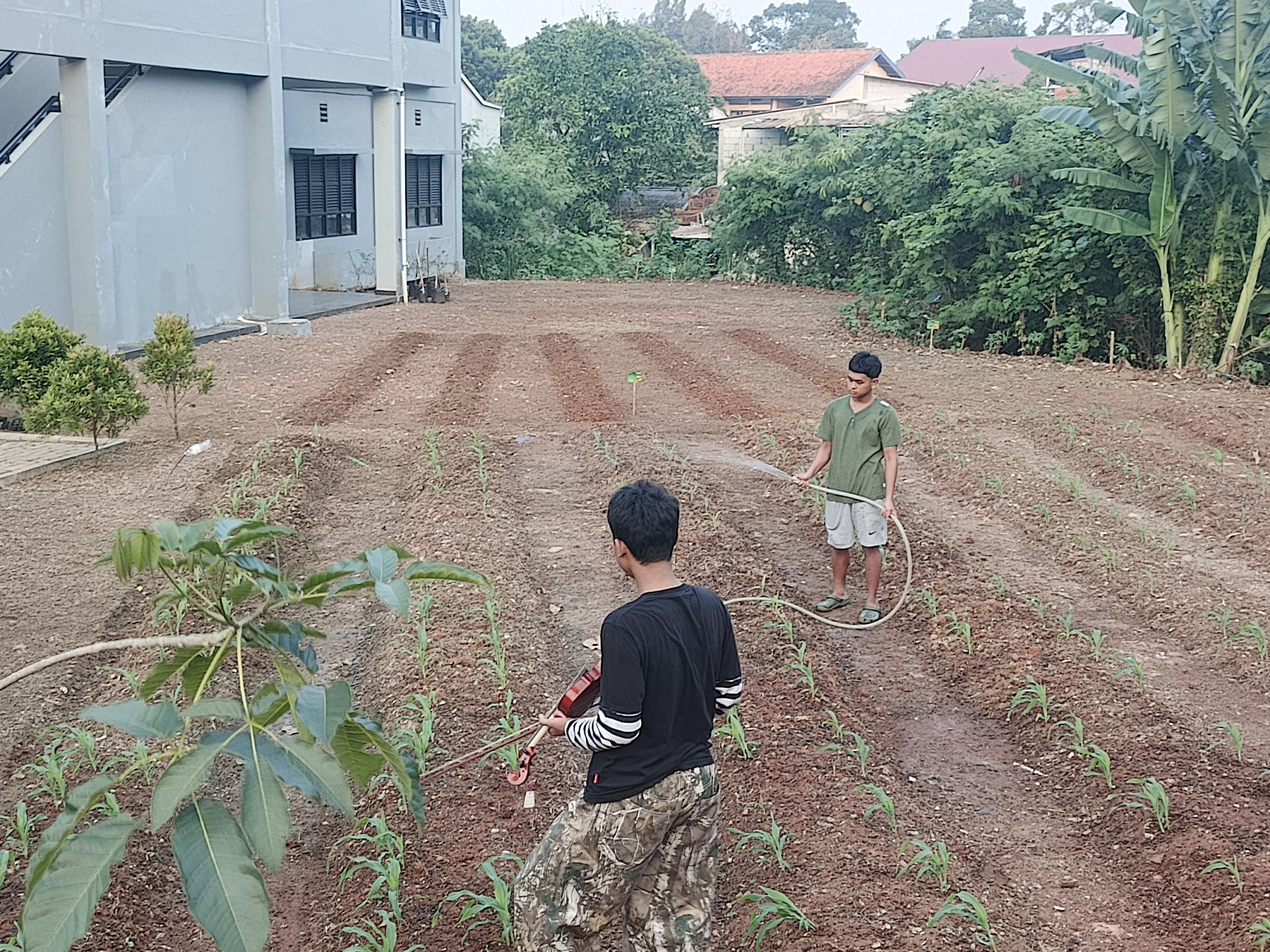 KEBUN SMKN 74 JAGAKARSA JAKARTA SELATAN - Gambar 612