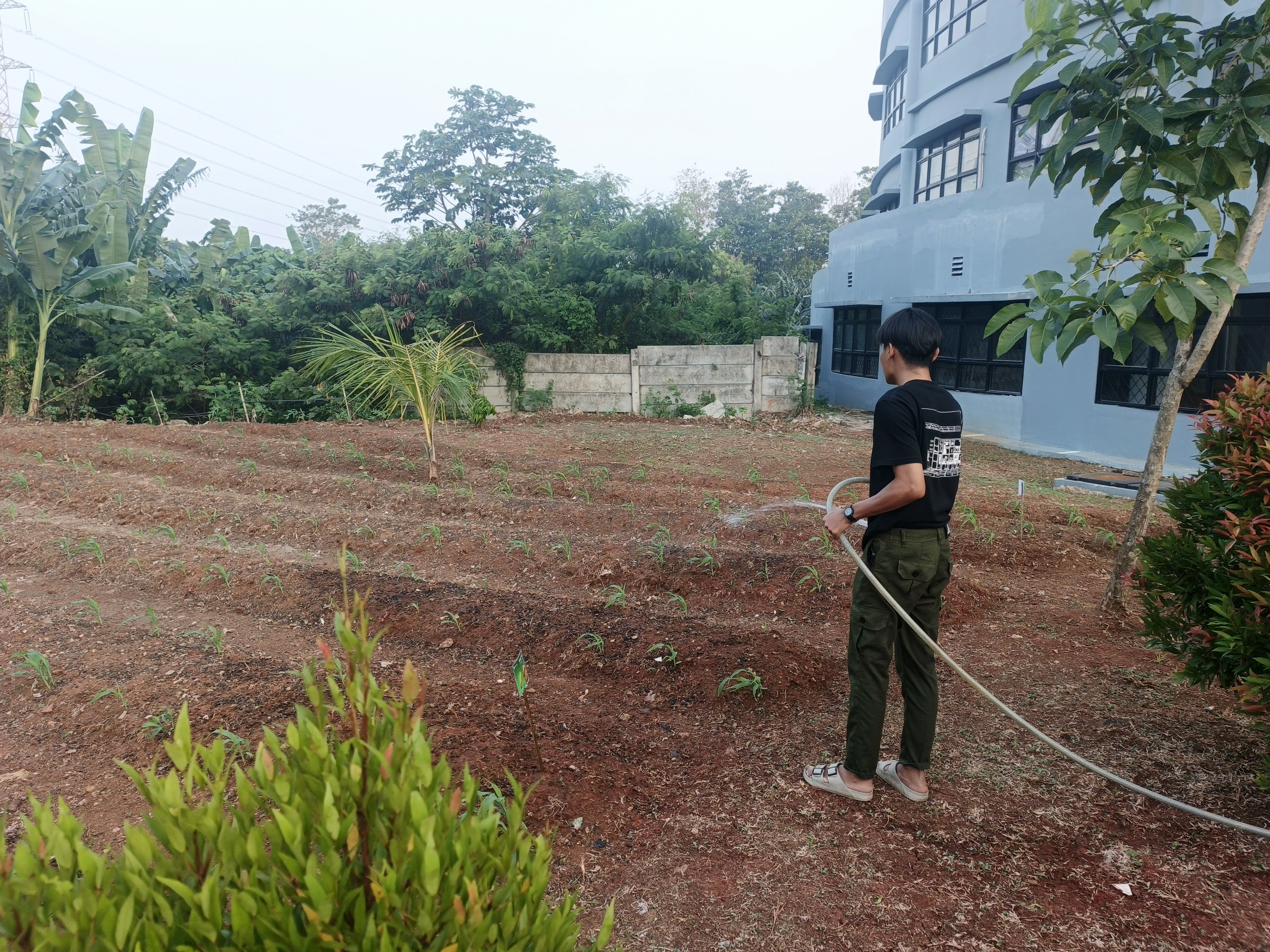 KEBUN SMKN 74 JAGAKARSA JAKARTA SELATAN - Gambar 611