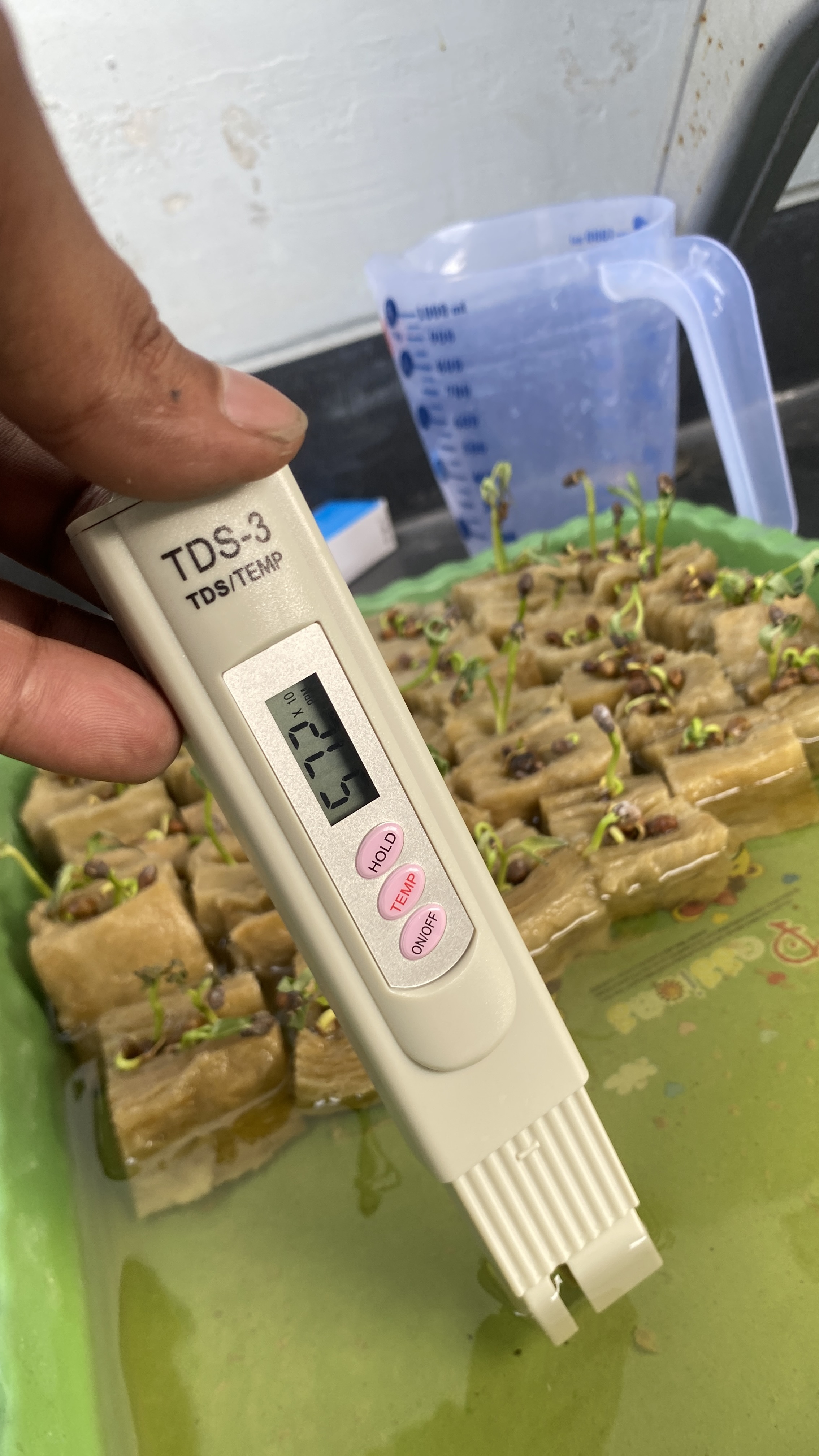 Lahan Urban Farming SDN Cipete Selatan 03 - Gambar 9