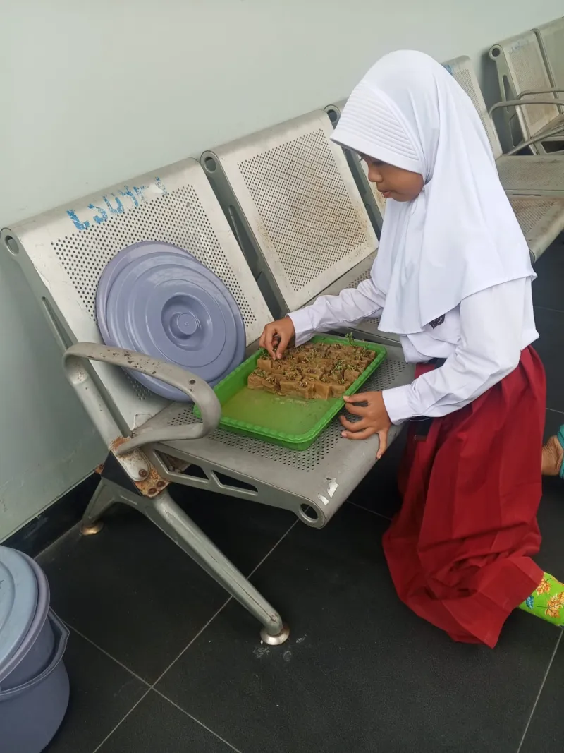 Lahan Urban Farming SDN Cipete Selatan 03 - Gambar 11