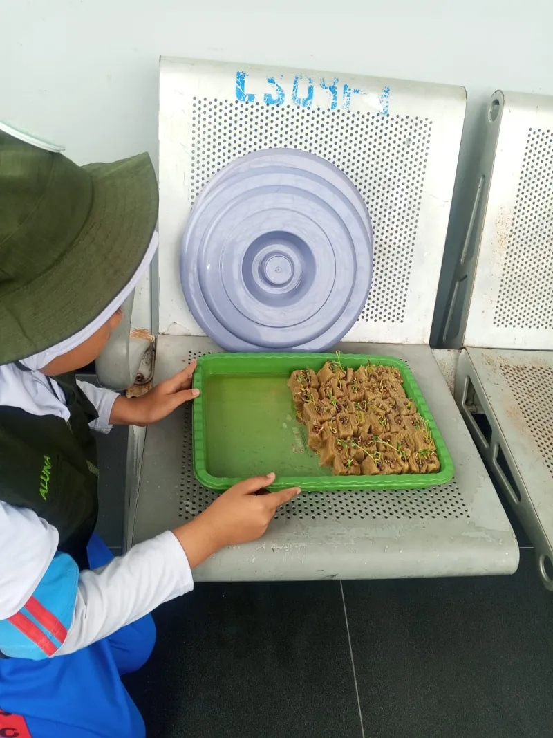 Lahan Urban Farming SDN Cipete Selatan 03 - Gambar 10
