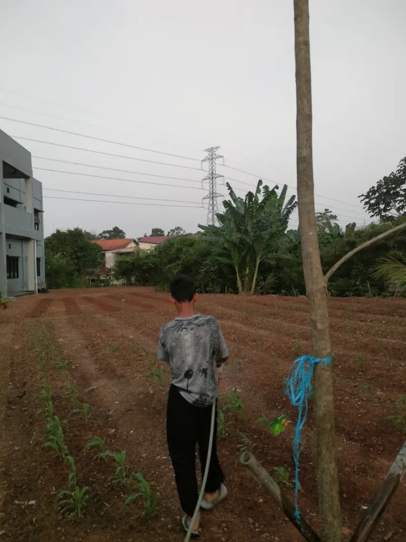 KEBUN SMKN 74 JAGAKARSA JAKARTA SELATAN - Gambar 606
