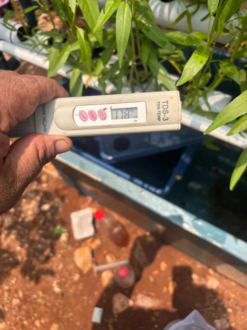 Lahan Urban Farming SLBN 01 Lebak Bulus - Gambar 13