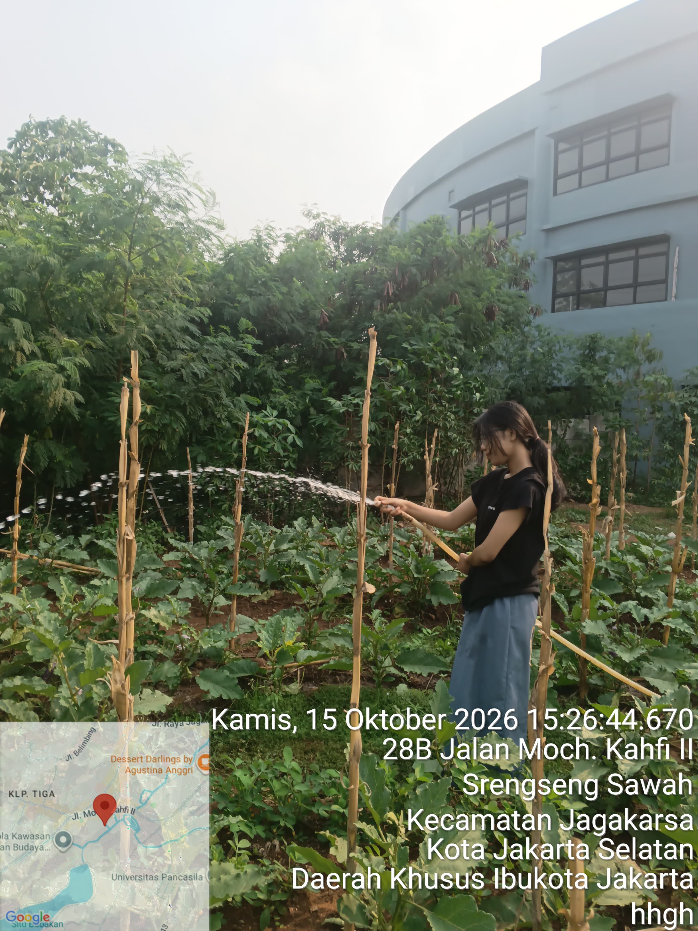 KEBUN SMKN 74 JAGAKARSA JAKARTA SELATAN - Gambar 52