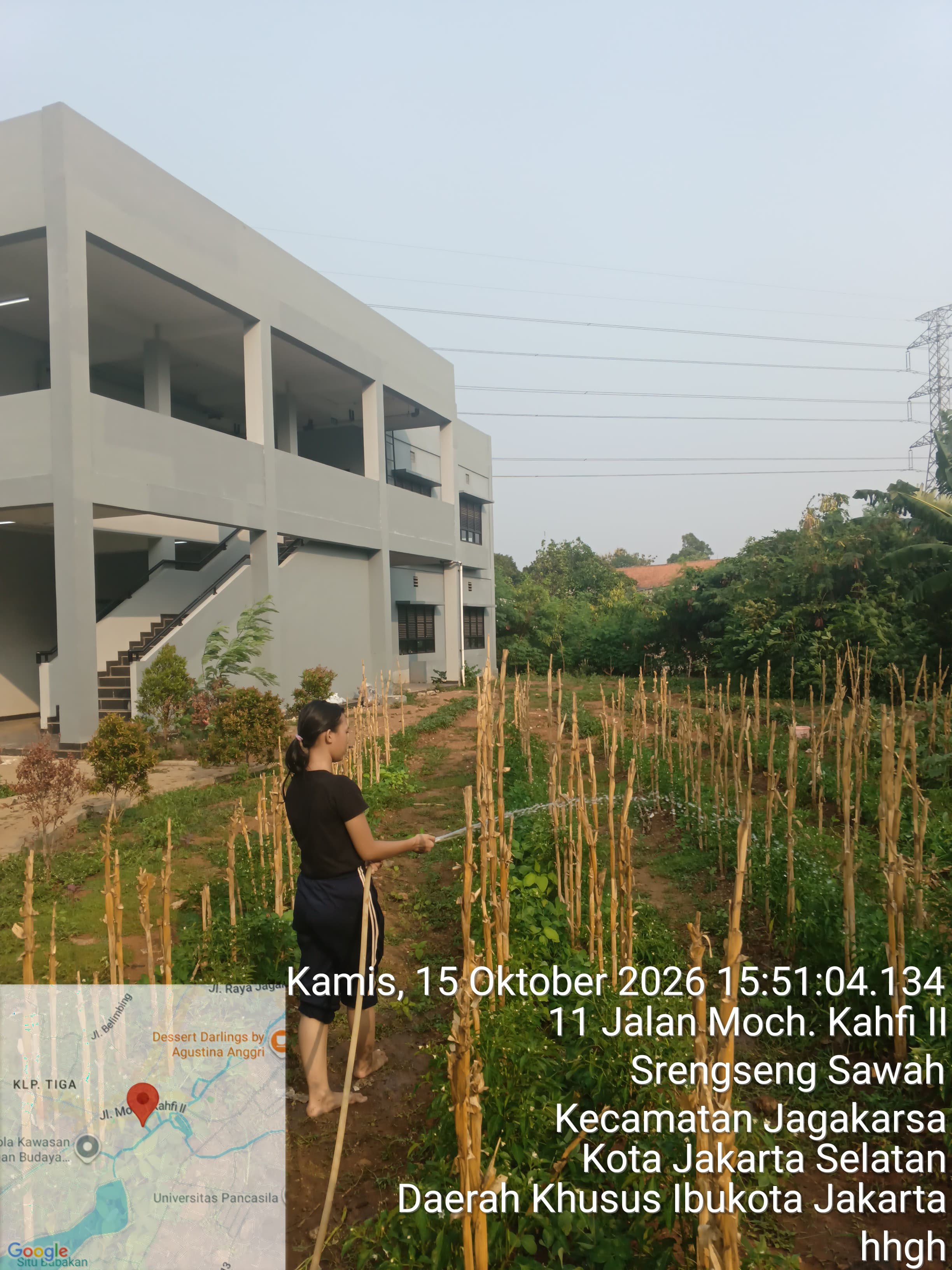 KEBUN SMKN 74 JAGAKARSA JAKARTA SELATAN - Gambar 51