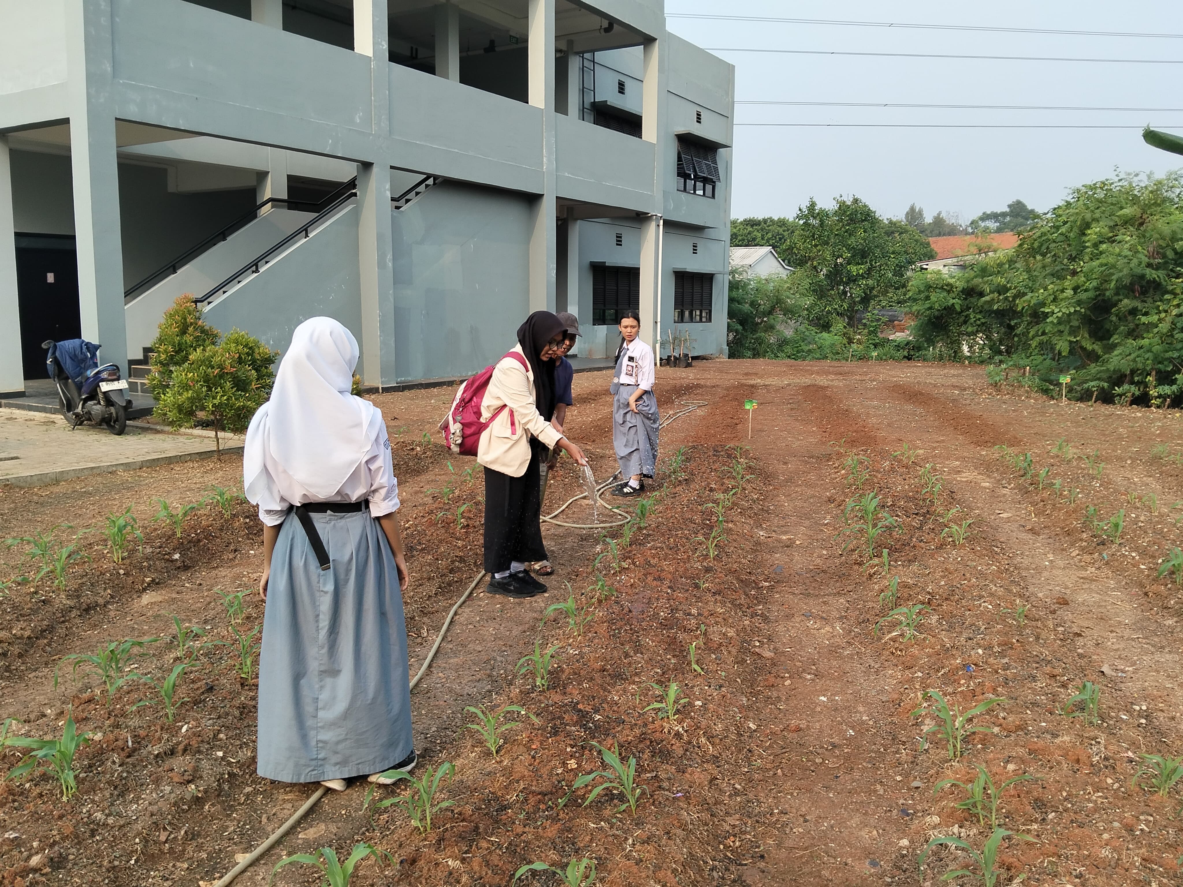 KEBUN SMKN 74 JAGAKARSA JAKARTA SELATAN - Gambar 605