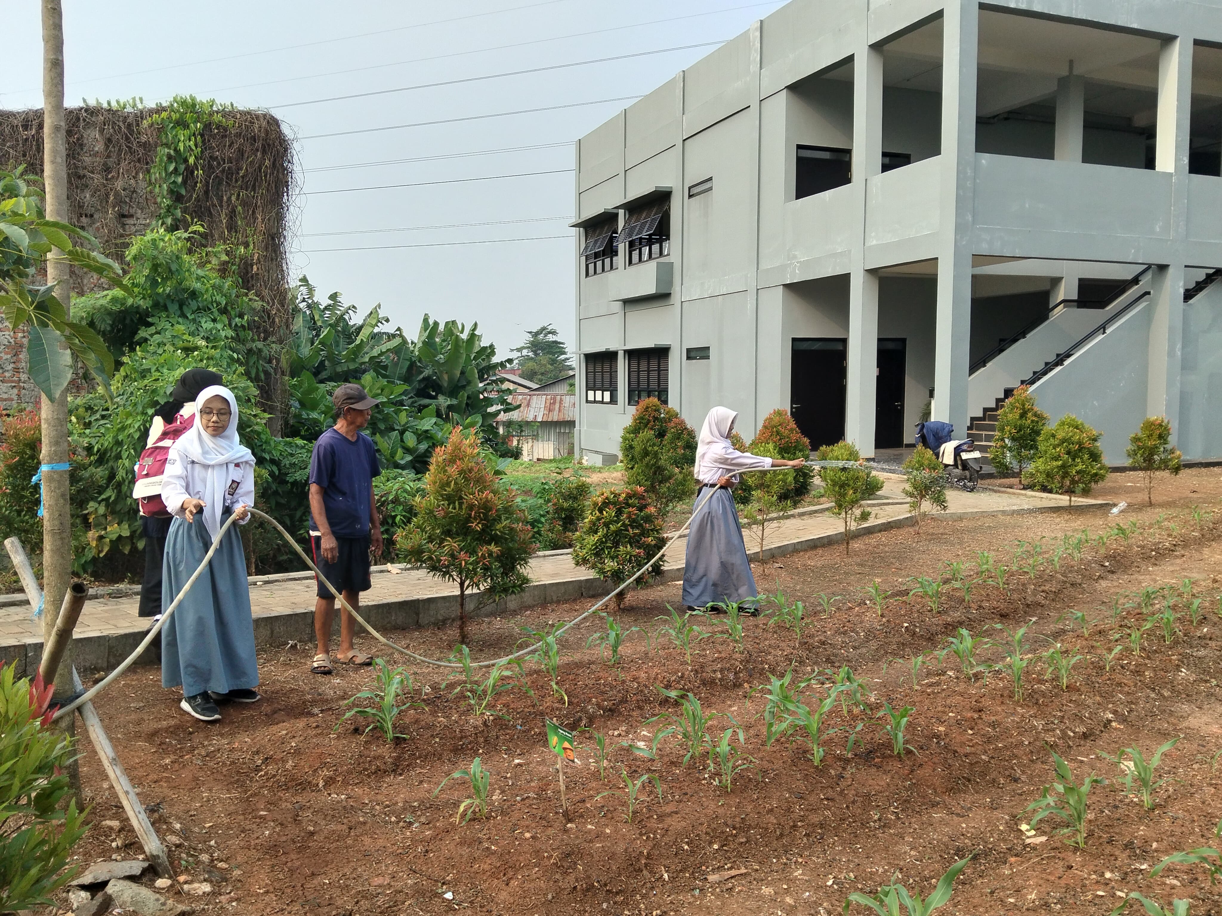 KEBUN SMKN 74 JAGAKARSA JAKARTA SELATAN - Gambar 604