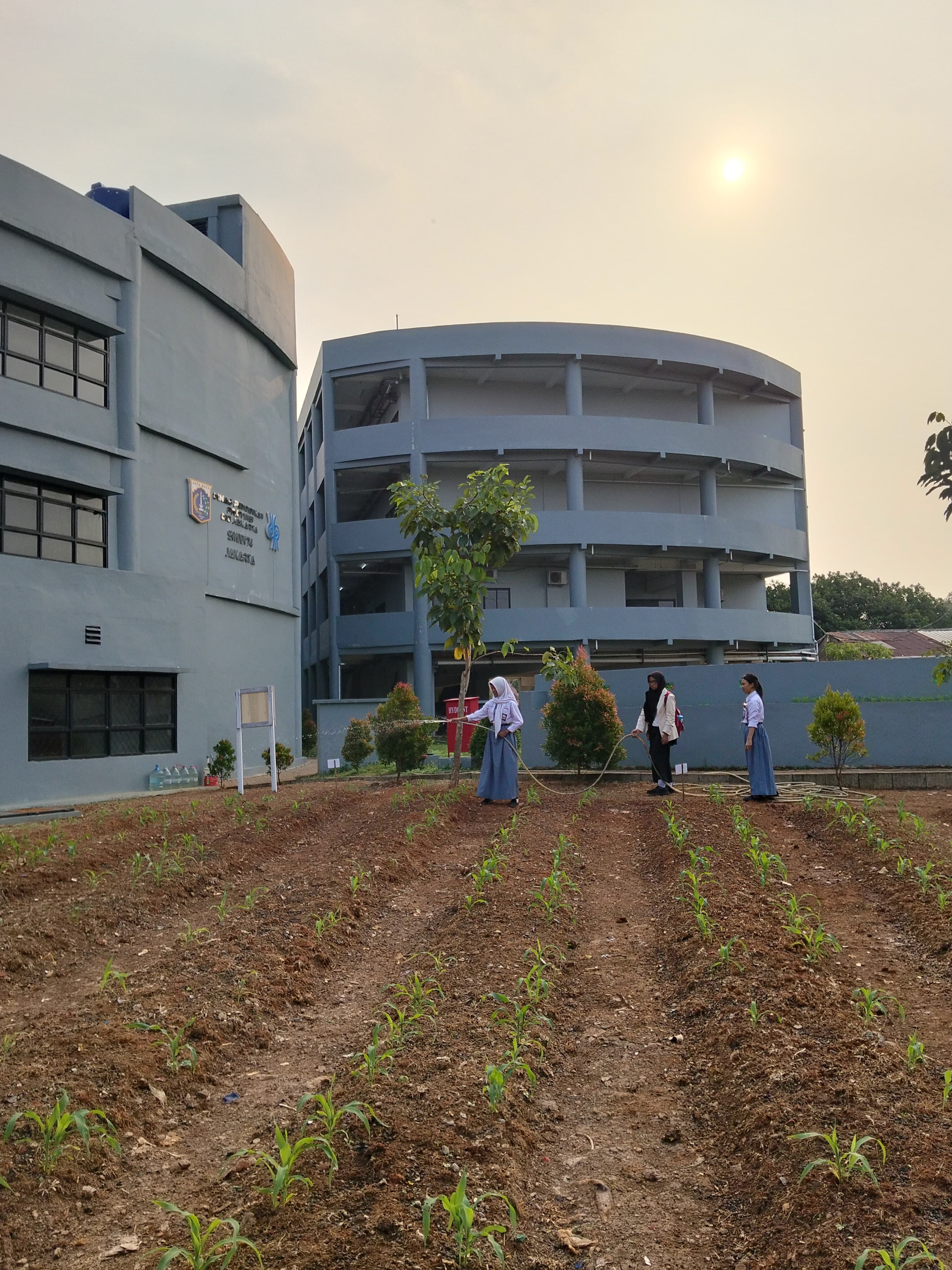 KEBUN SMKN 74 JAGAKARSA JAKARTA SELATAN - Gambar 603