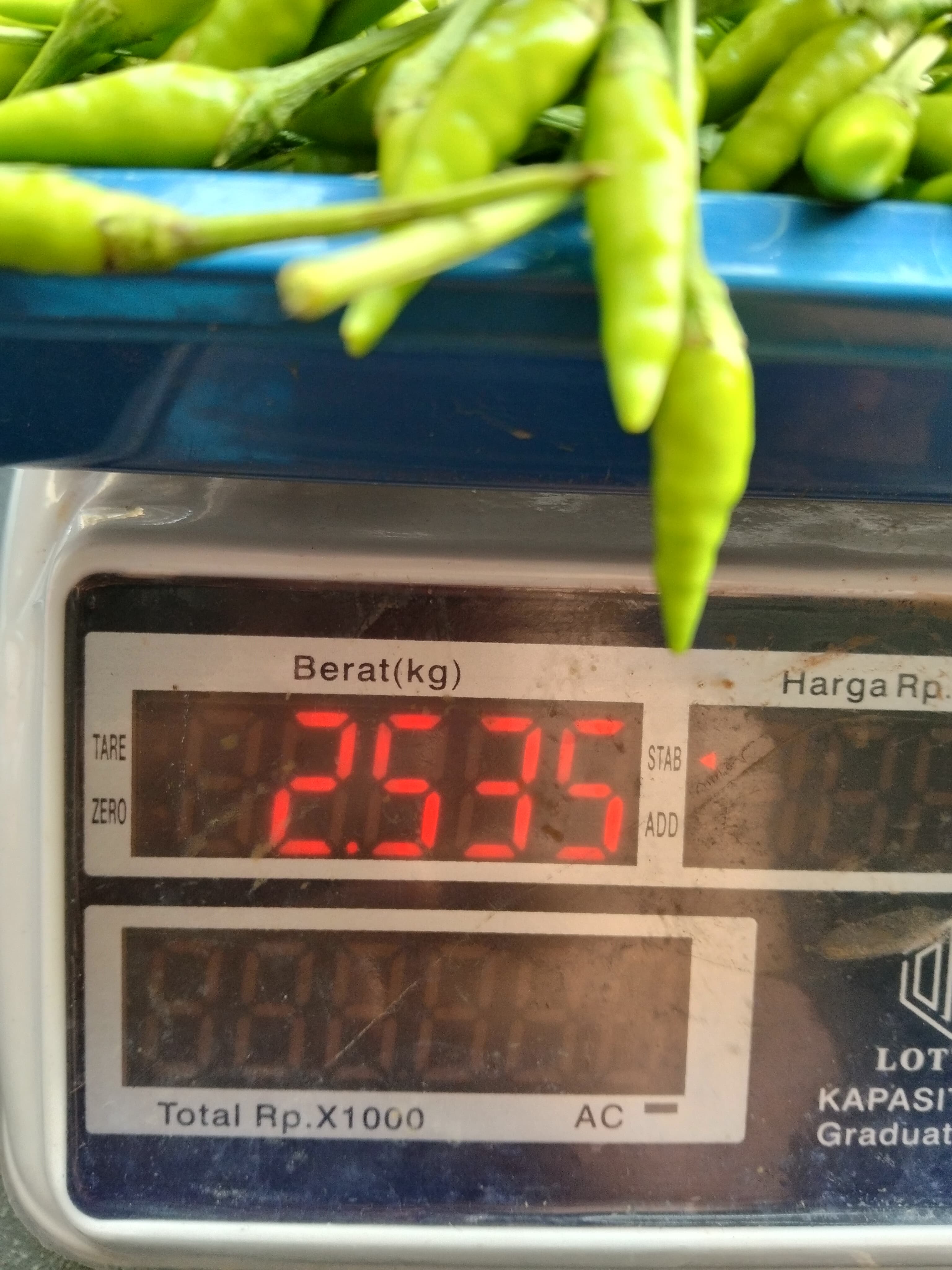 KEBUN SMKN 74 JAGAKARSA JAKARTA SELATAN - Gambar 47