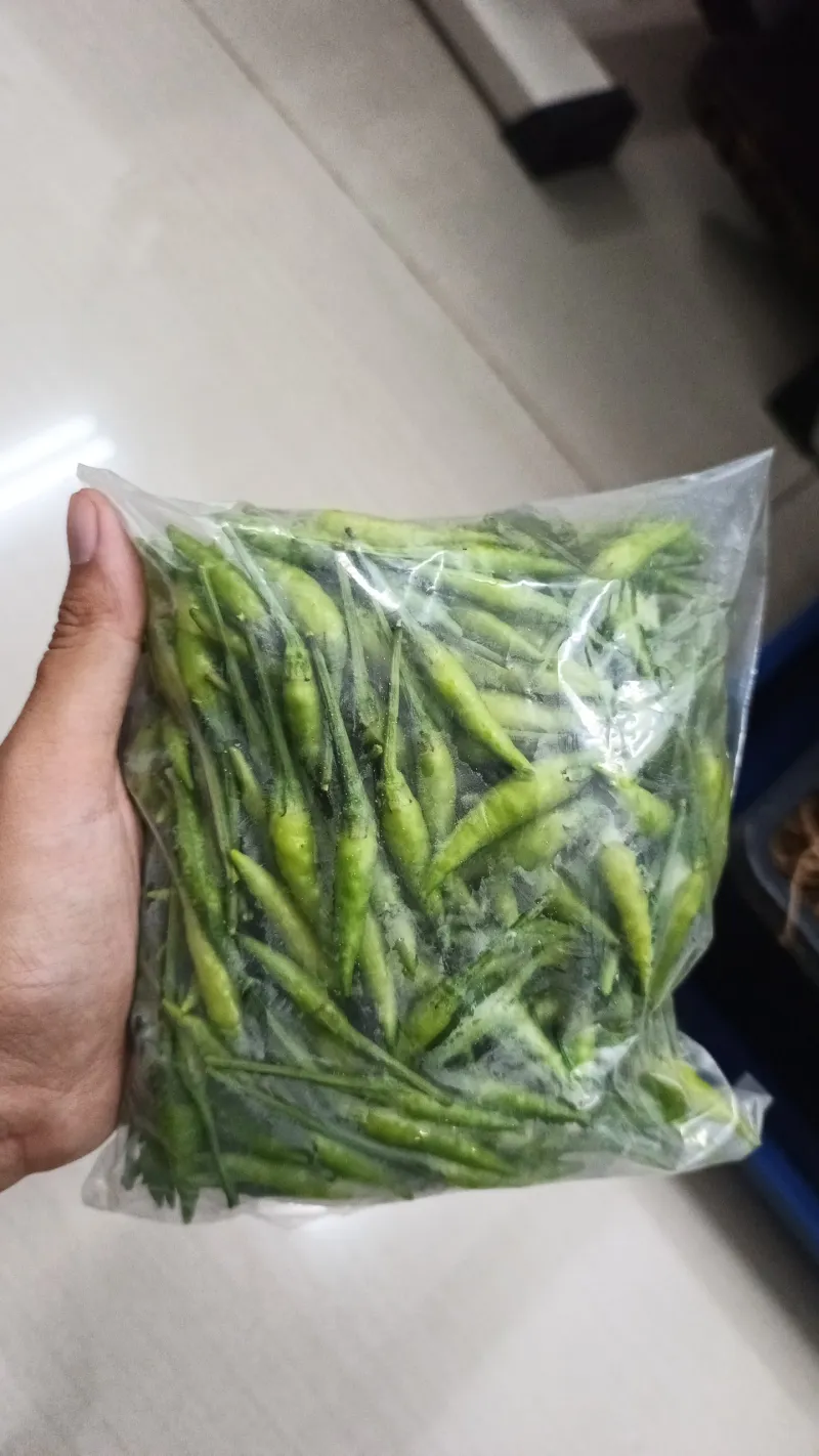 KEBUN SMKN 74 JAGAKARSA JAKARTA SELATAN - Gambar 46