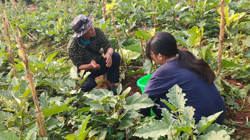 KEBUN SMKN 74 JAGAKARSA JAKARTA SELATAN - Gambar 42