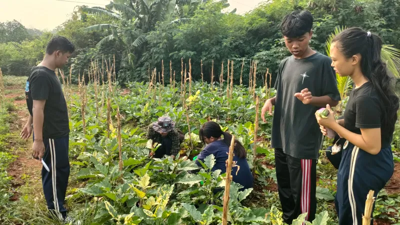 KEBUN SMKN 74 JAGAKARSA JAKARTA SELATAN - Gambar 43