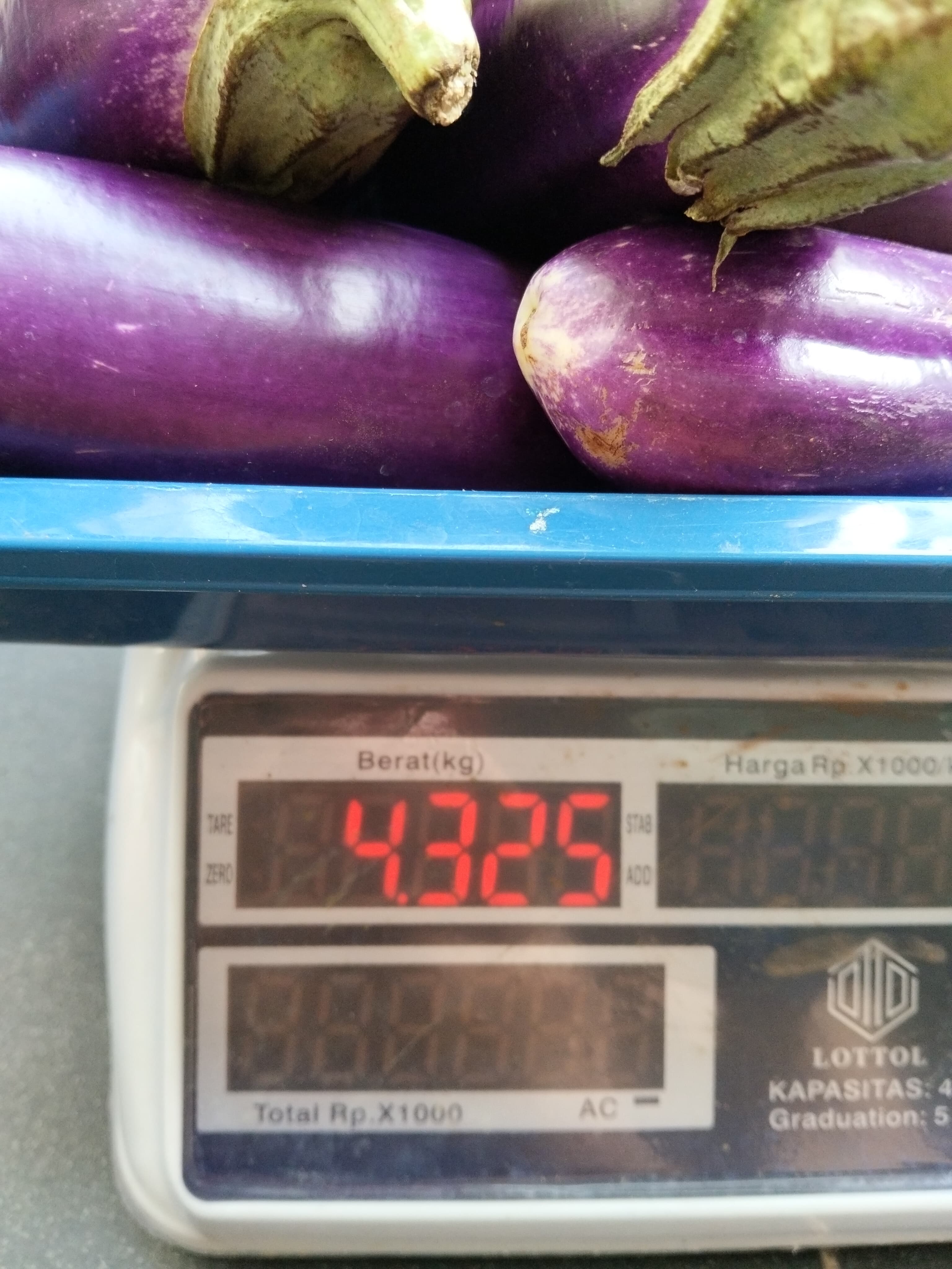 KEBUN SMKN 74 JAGAKARSA JAKARTA SELATAN - Gambar 40