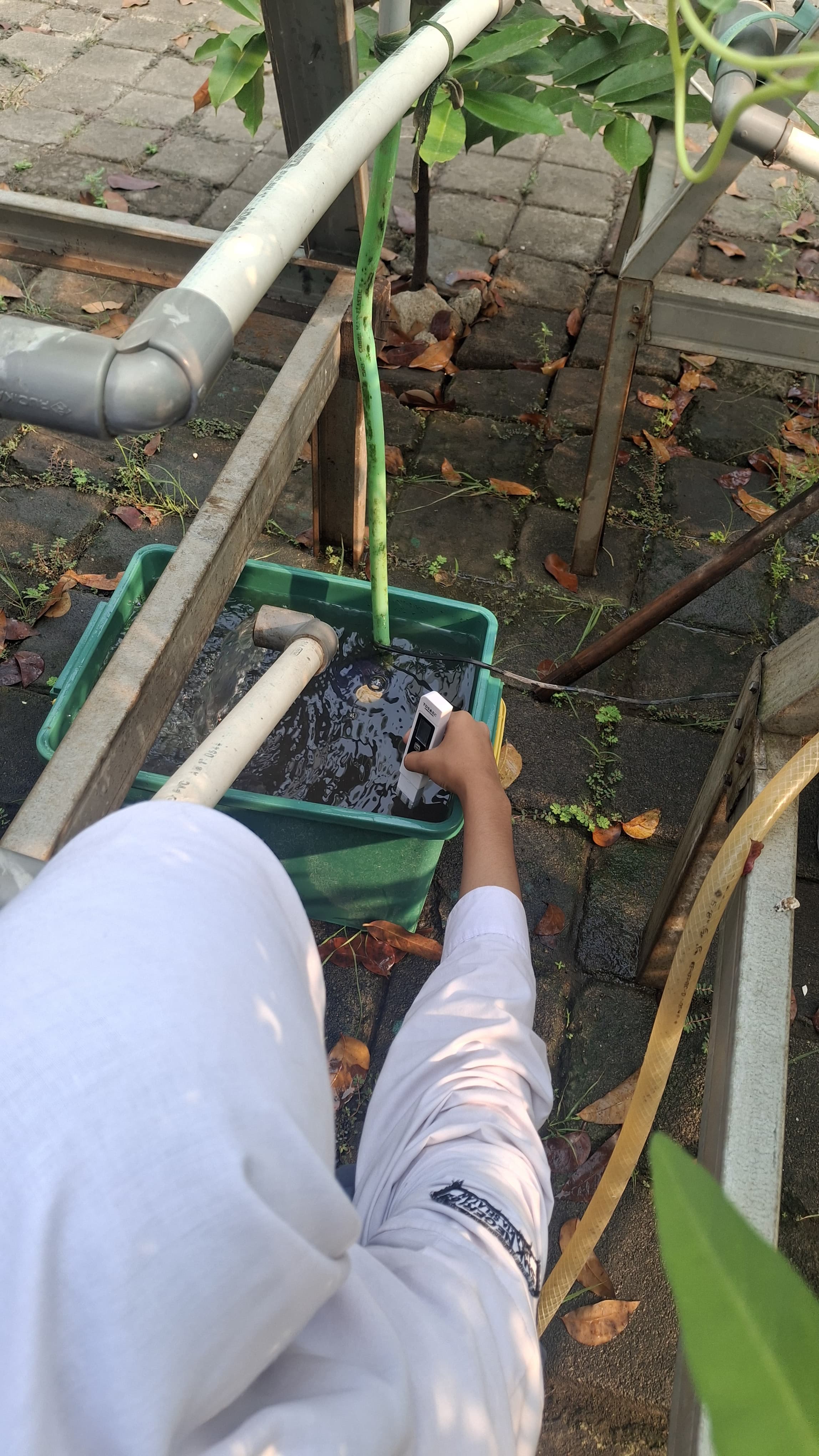 Lahan Urban Farming SMKN 59 Jakarta - Gambar 35