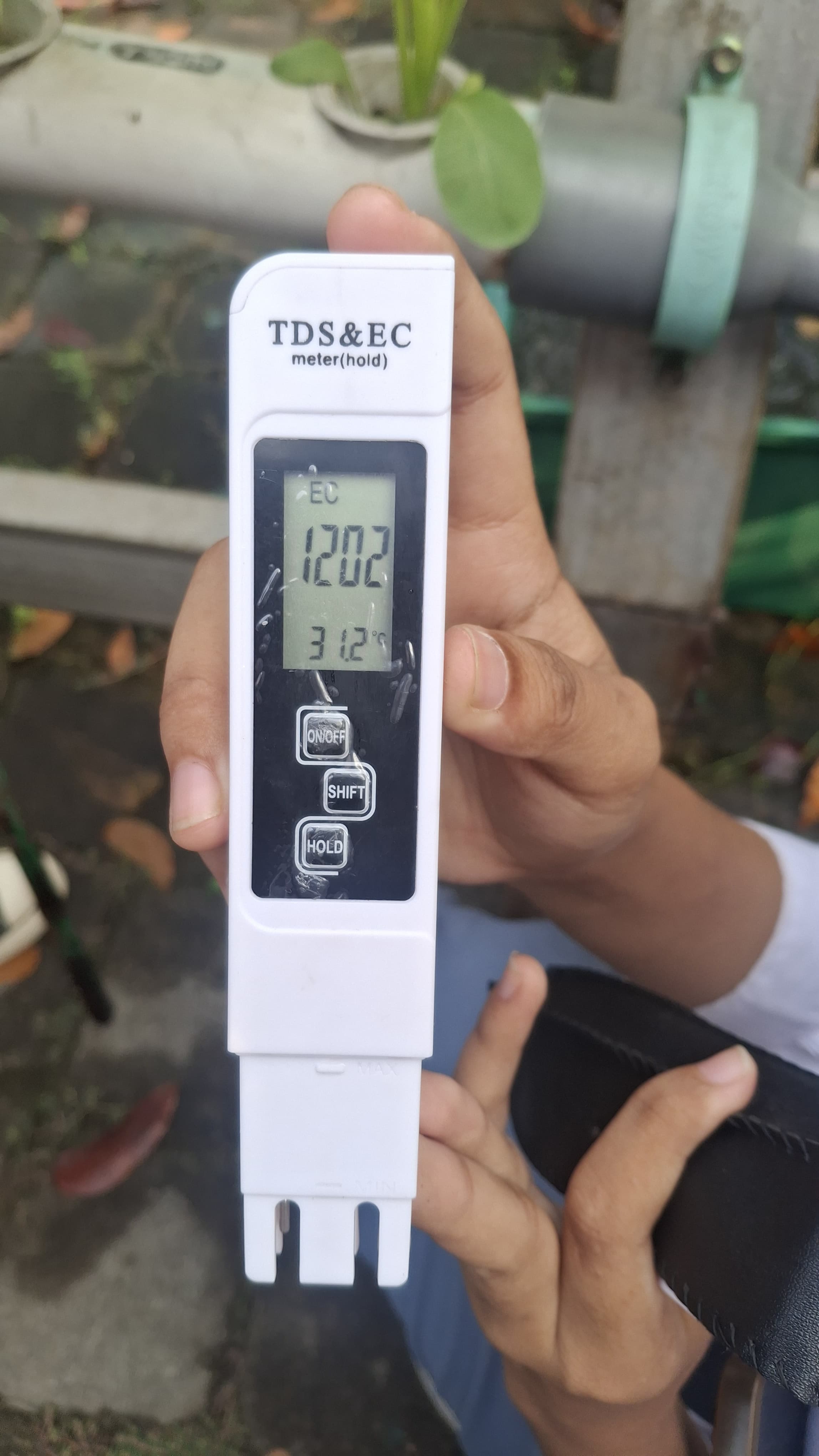 Lahan Urban Farming SMKN 59 Jakarta - Gambar 29
