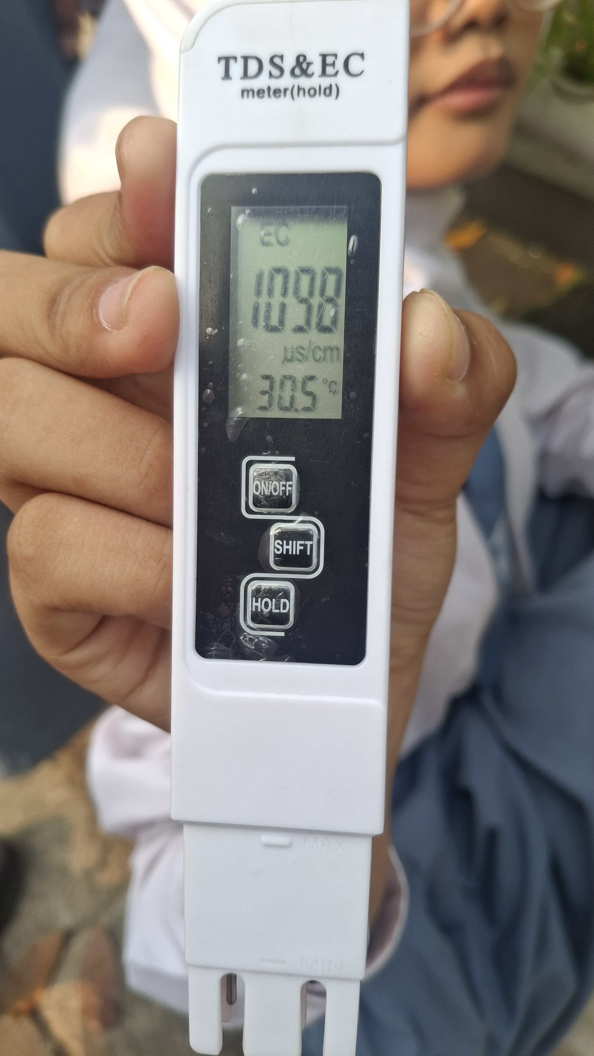 Lahan Urban Farming SMKN 59 Jakarta - Gambar 30