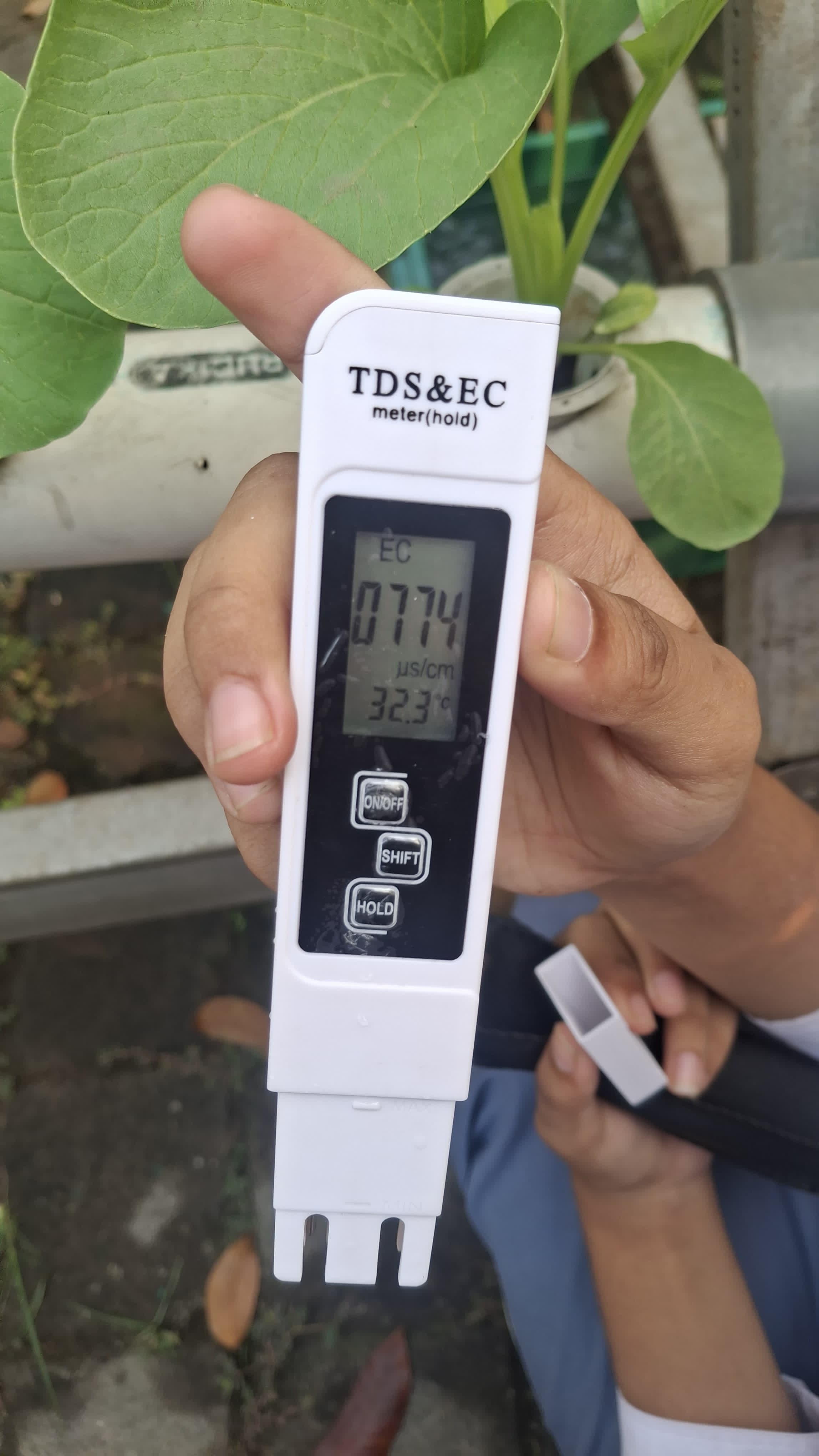 Lahan Urban Farming SMKN 59 Jakarta - Gambar 32