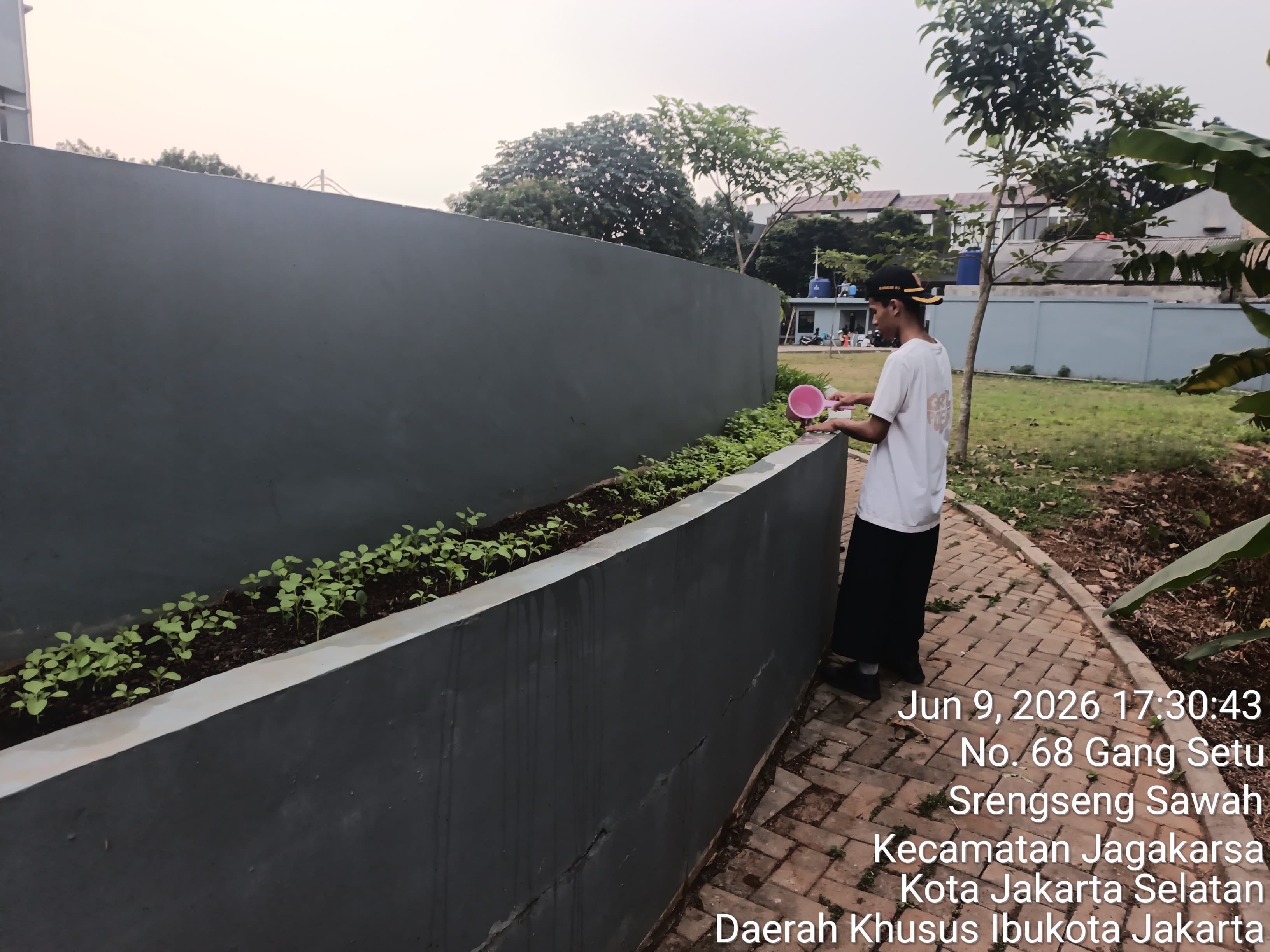 KEBUN SMKN 74 JAGAKARSA JAKARTA SELATAN - Gambar 599