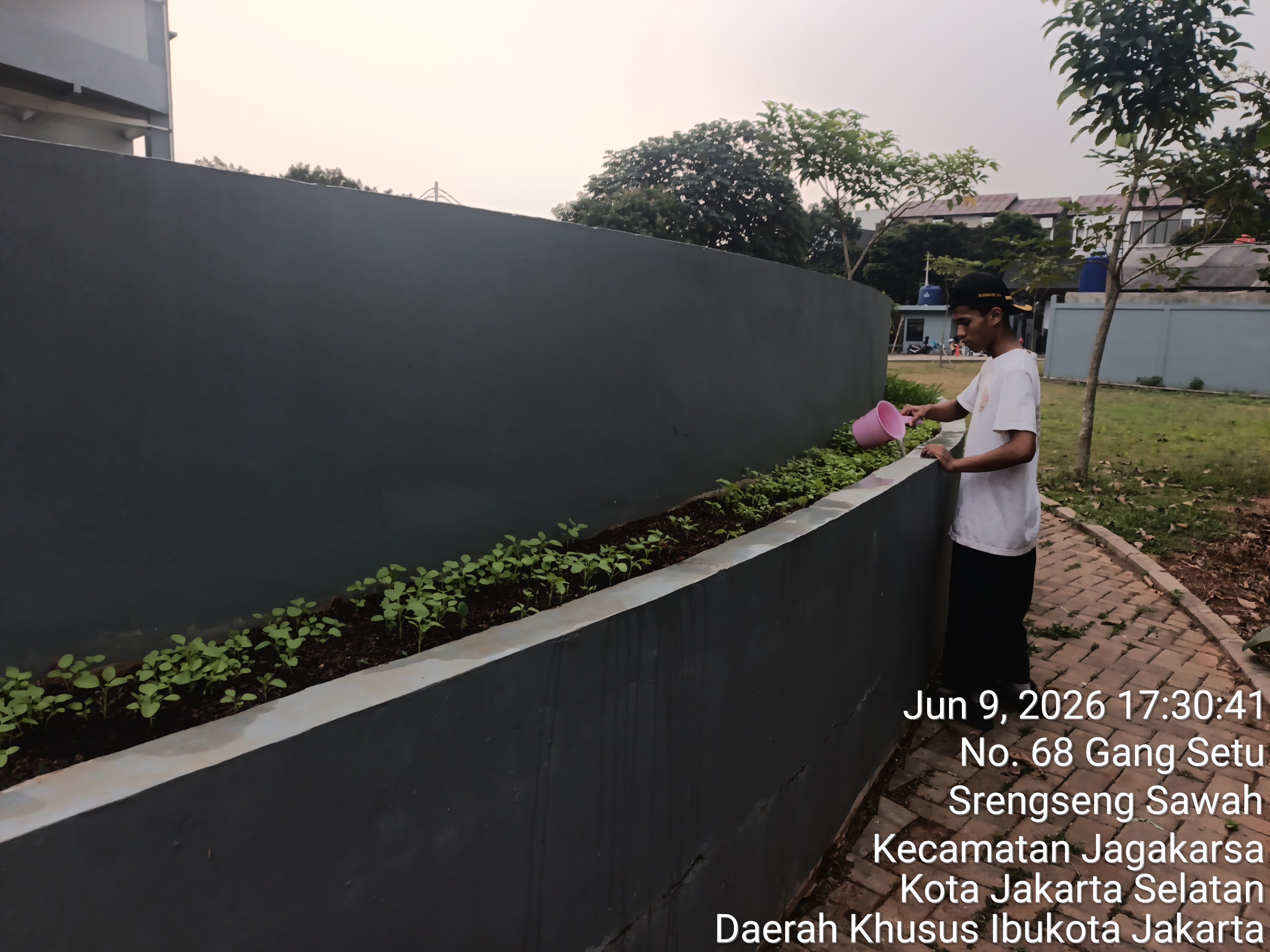KEBUN SMKN 74 JAGAKARSA JAKARTA SELATAN - Gambar 600