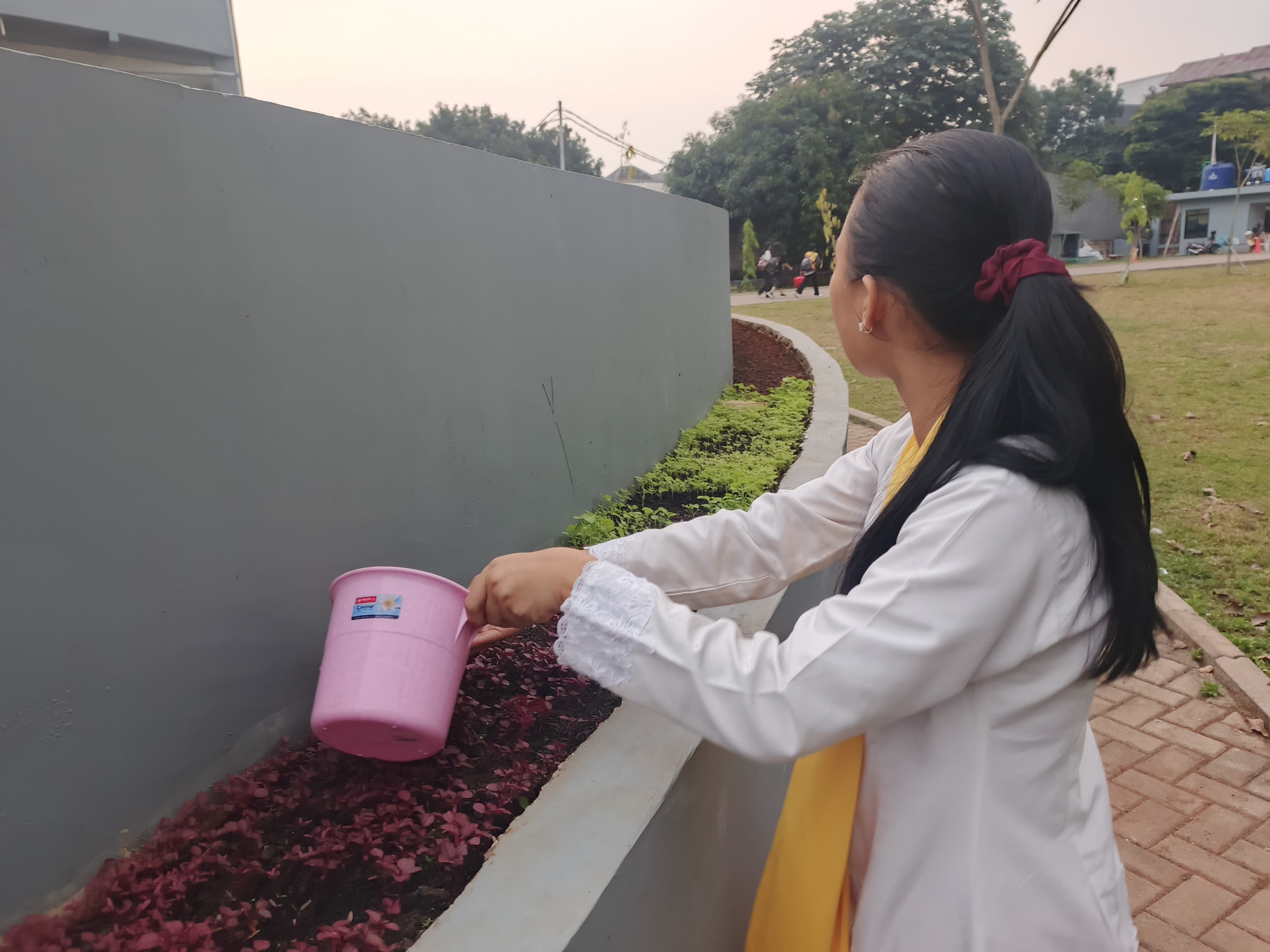 KEBUN SMKN 74 JAGAKARSA JAKARTA SELATAN - Gambar 598