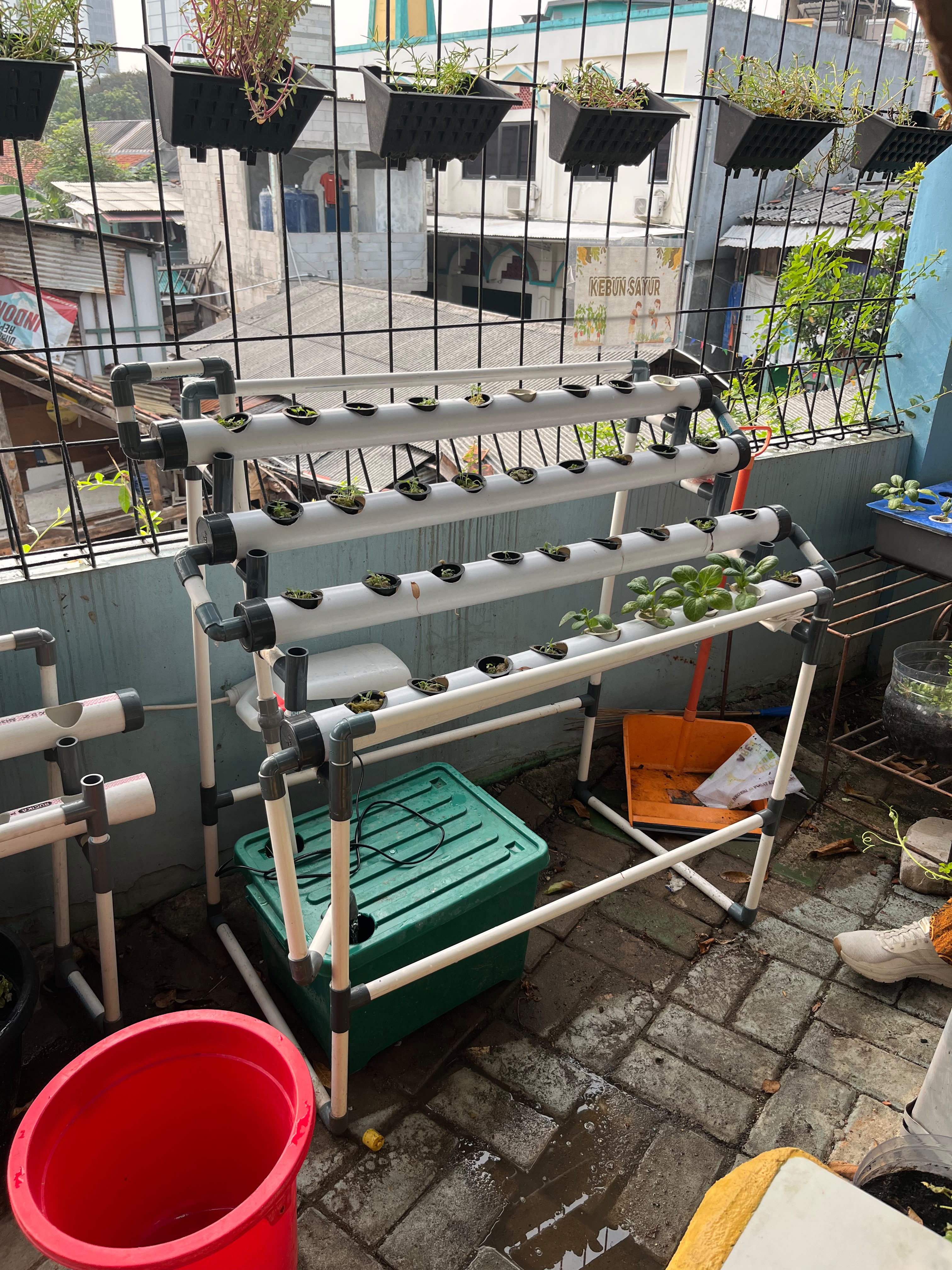 Lahan Urban Farming SMKN 43 Jakarta - Gambar 30