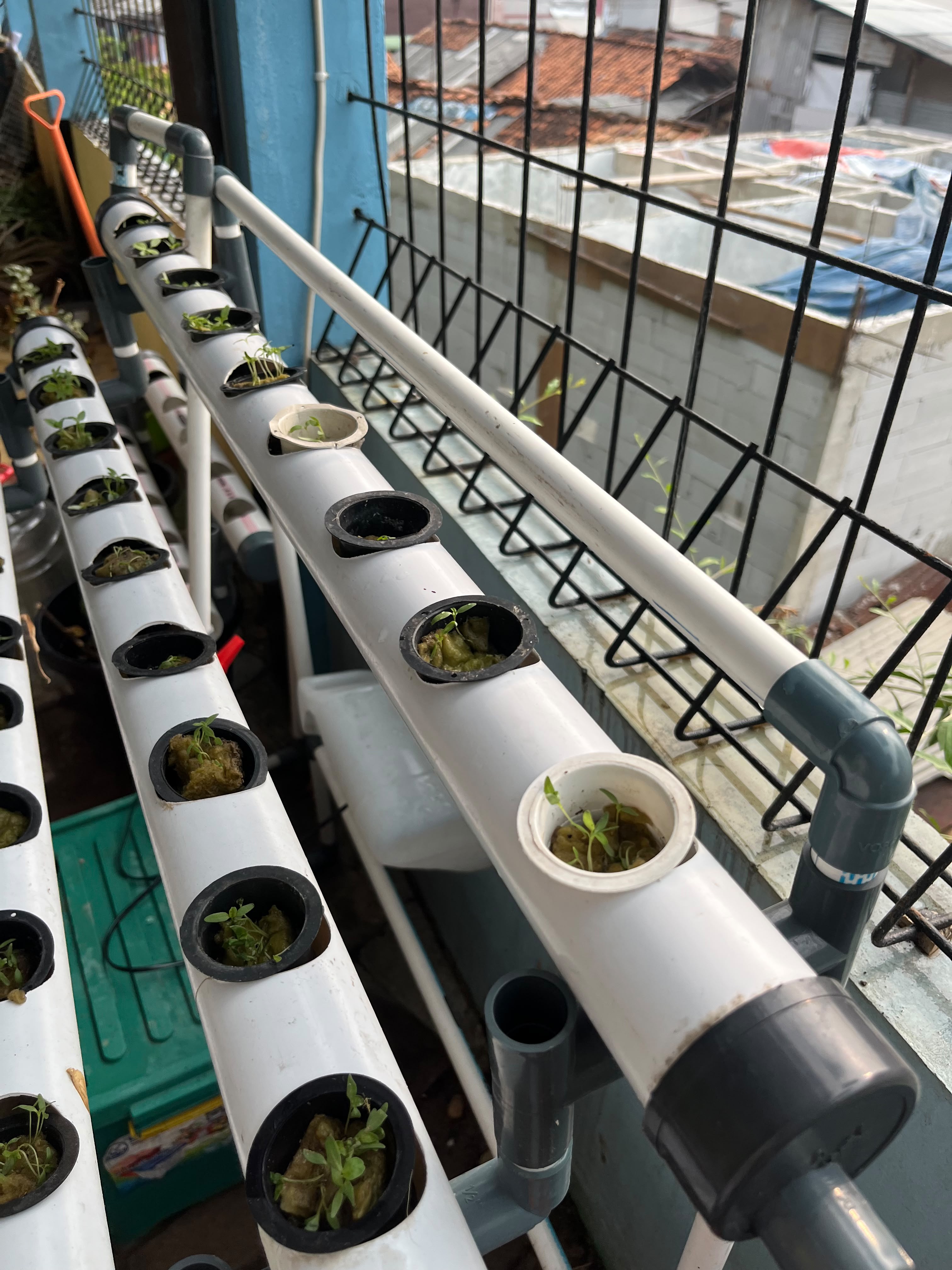 Lahan Urban Farming SMKN 43 Jakarta - Gambar 31