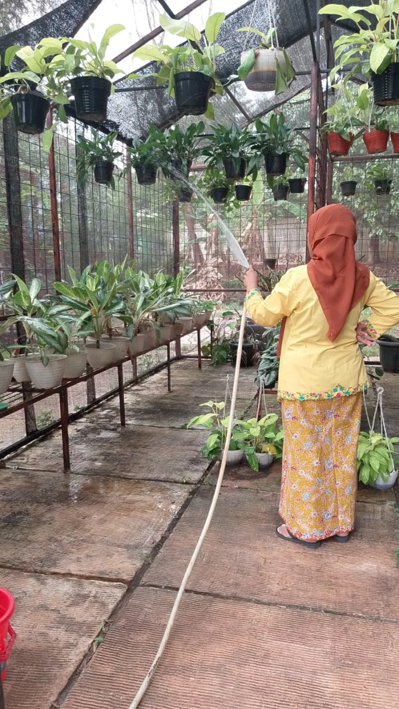 Lahan Urban Farming SMAN 109 Jakarta - Gambar 38